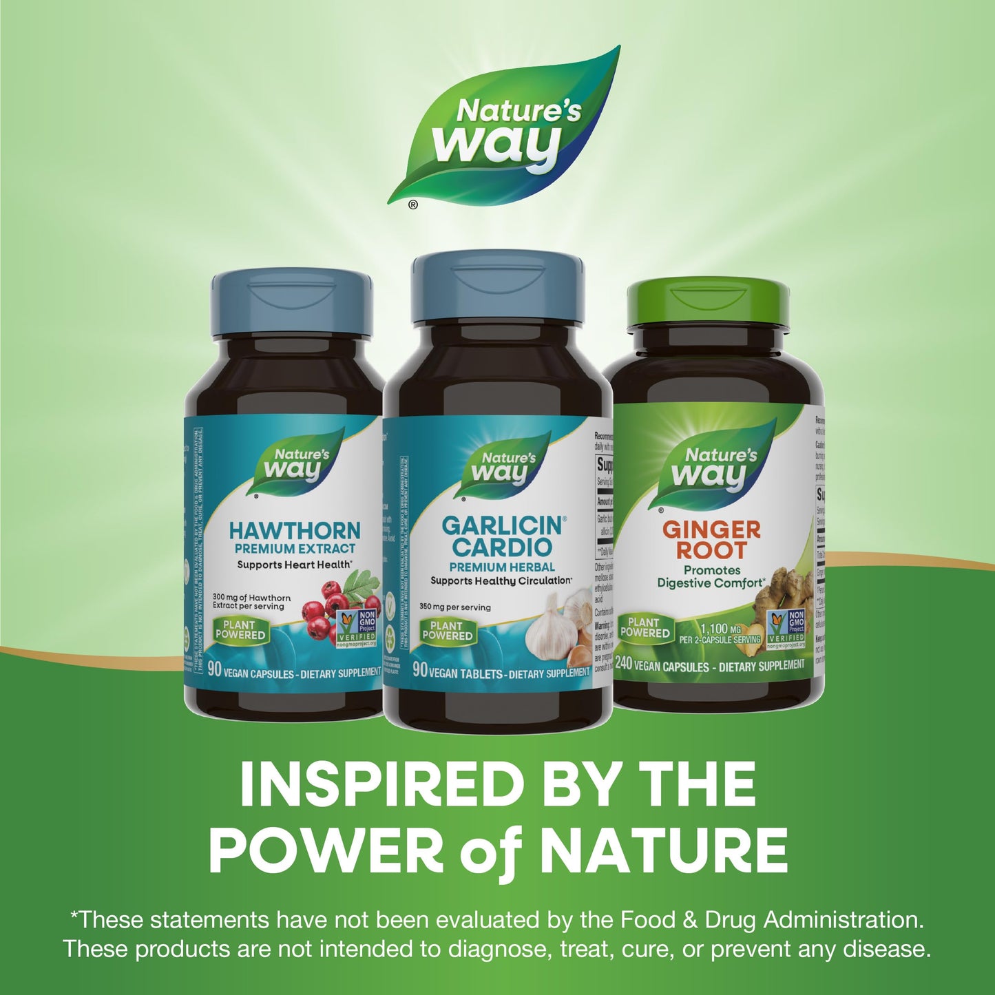 Nature's Way Garlicin Cardio 180 Tablets