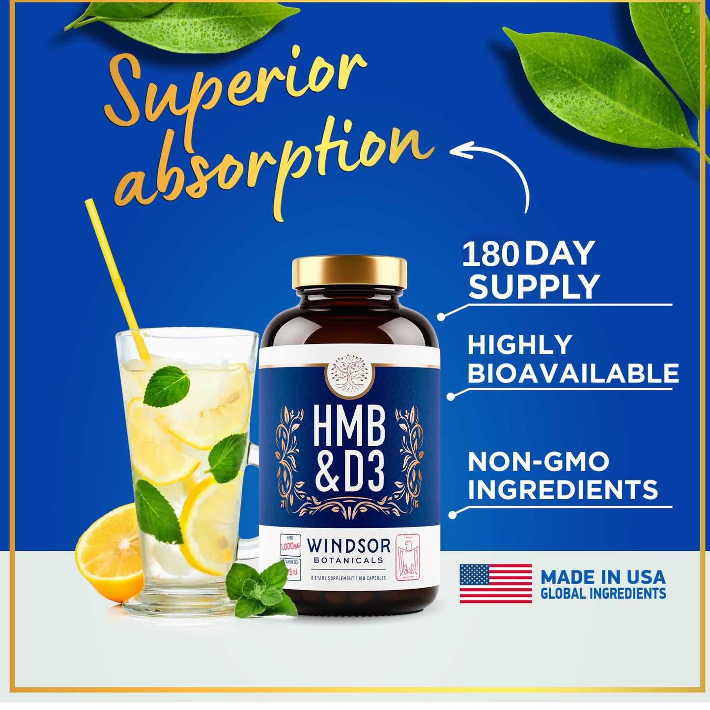 WINDSOR BOTANICALS HMB and Vitamin D3 Supplement Capsules 360