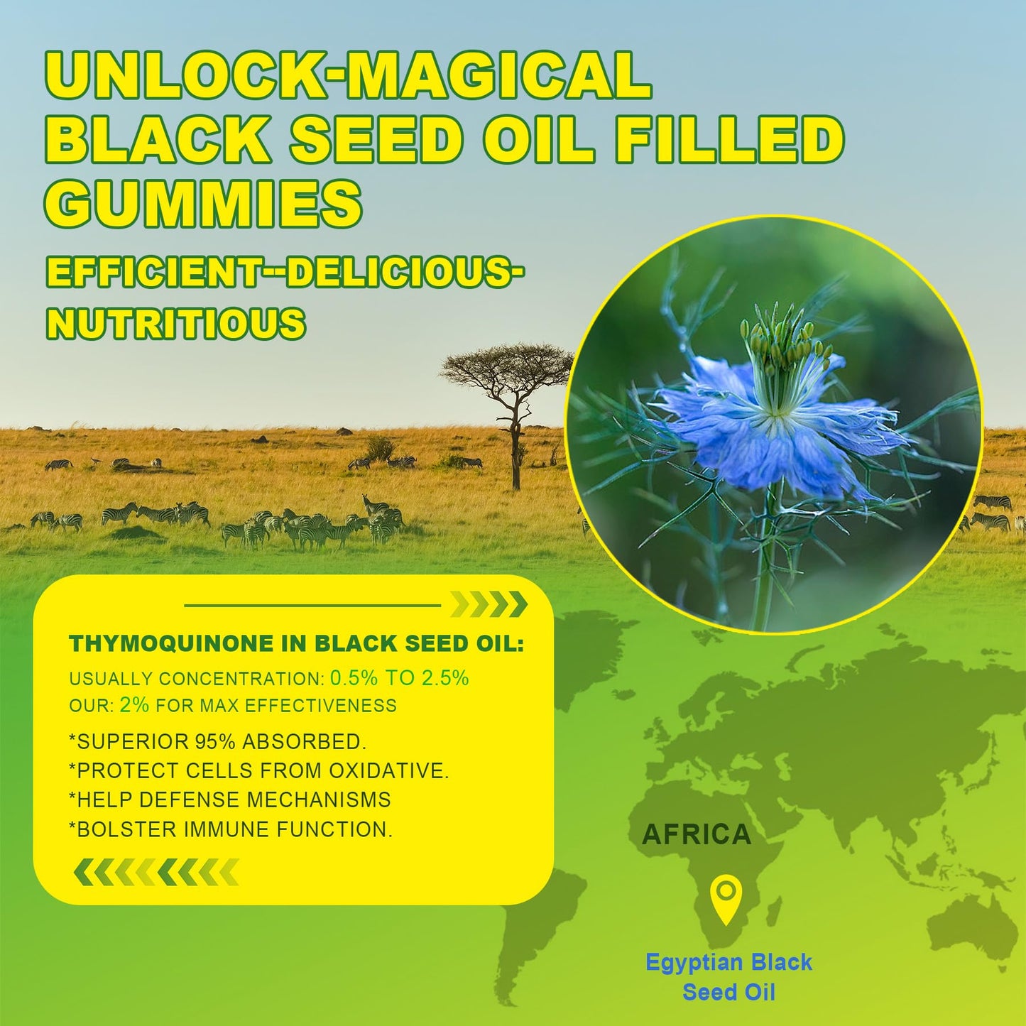 EnvyCure Black Seed Oil Gummies with Chlorophyll, Biotin 500mcg, Hydrolyzed Collagen, Raw Manuka Honey, Organic Cold Pressed - Ultimate Absorption for Skin, Hair & Nails, Digestive, Overall Health, 60 Gummies