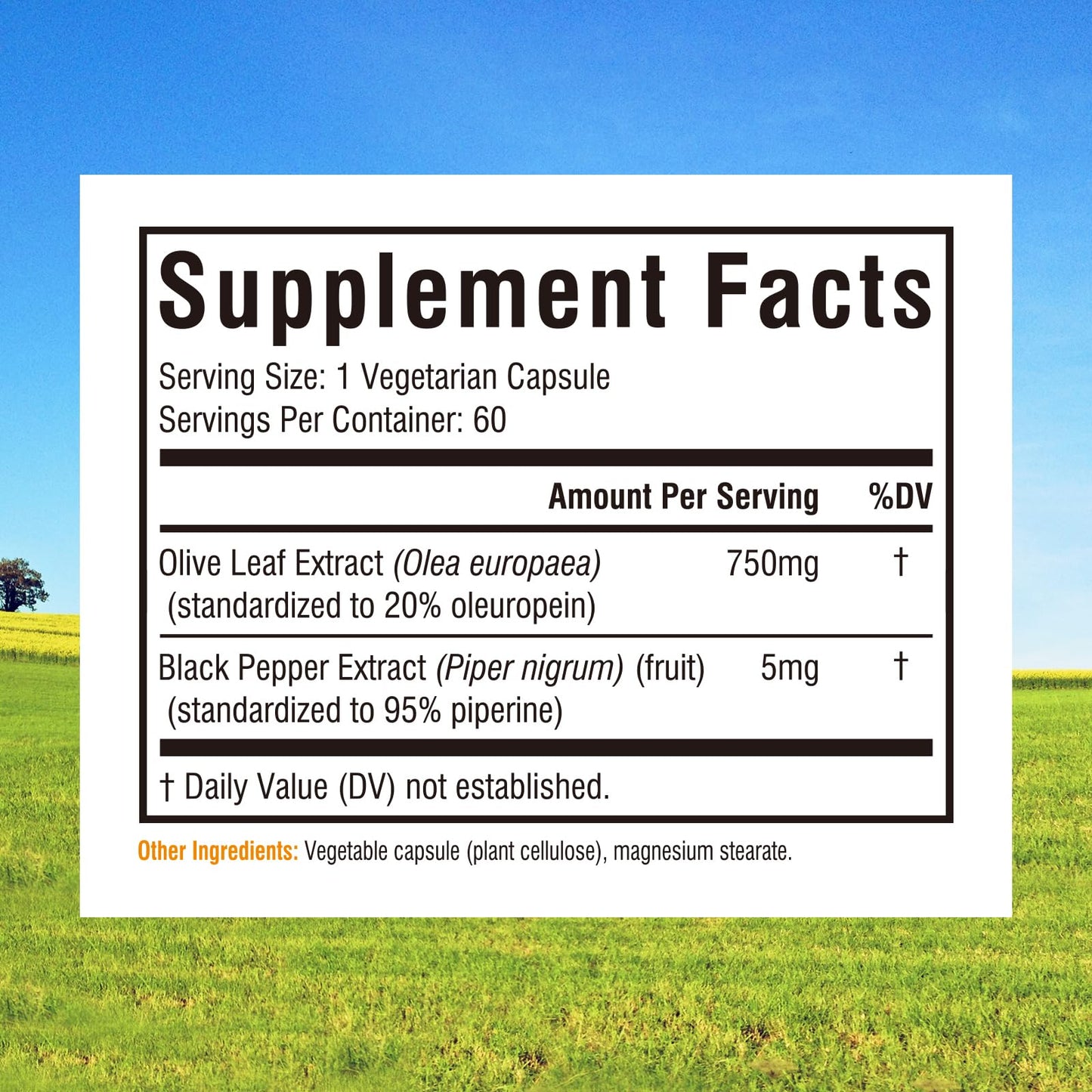 Innate Vitality Olive Leaf Extract Capsules, 60 Count