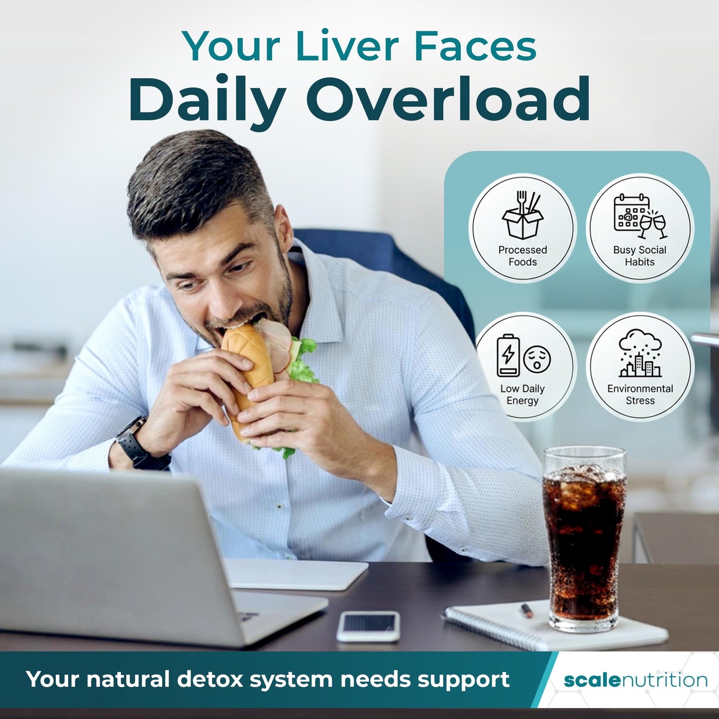 Scale Nutrition Liver Detox & Support – High Potency 1960mg Formula, Capsules, 120 Count