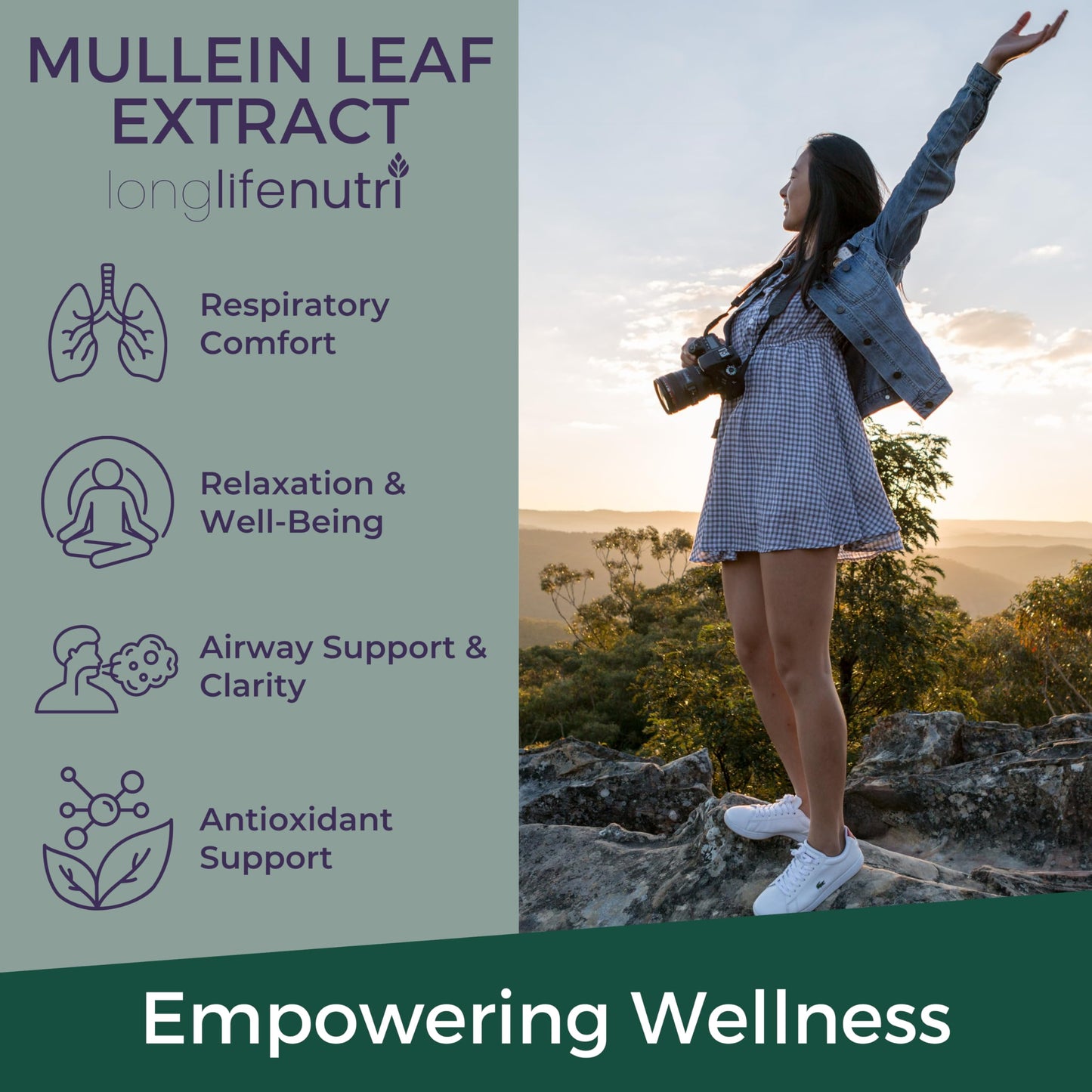 LongLifeNutri Mullein Leaf 1500mg 10:1 Extract - 200 Vegetarian Capsules