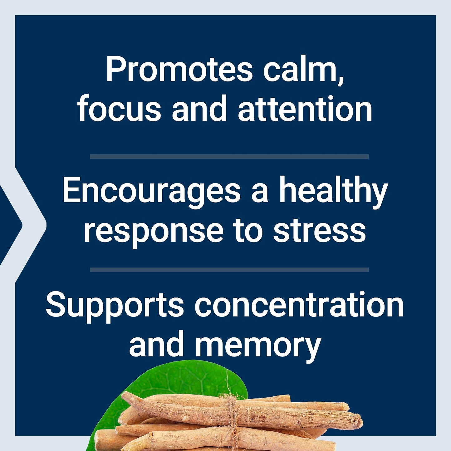 Life Extension Ashwagandha Plus Calm and Focus Capsules, 60 Count