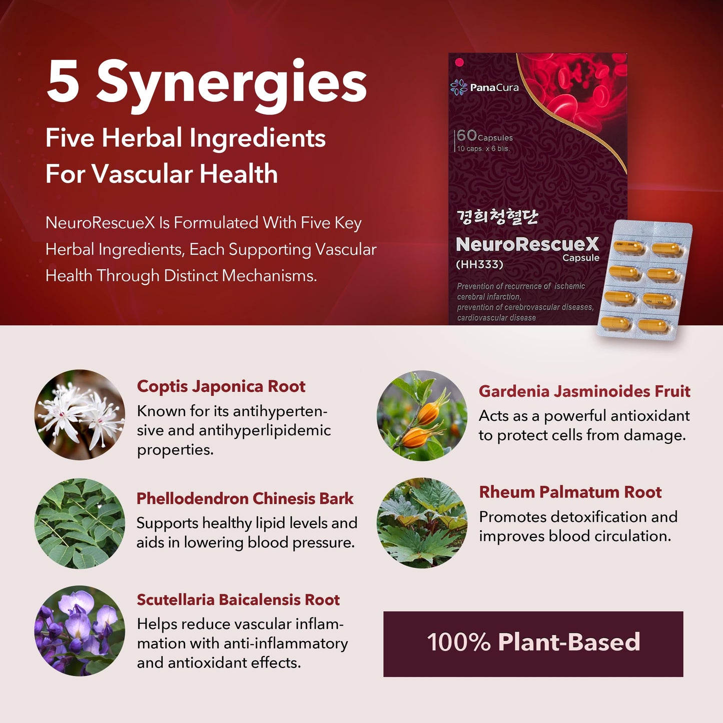 NeuroRescueX HH333 경희청혈단 Herbal Brain & Heart Health Supplement Capsule 1 Count