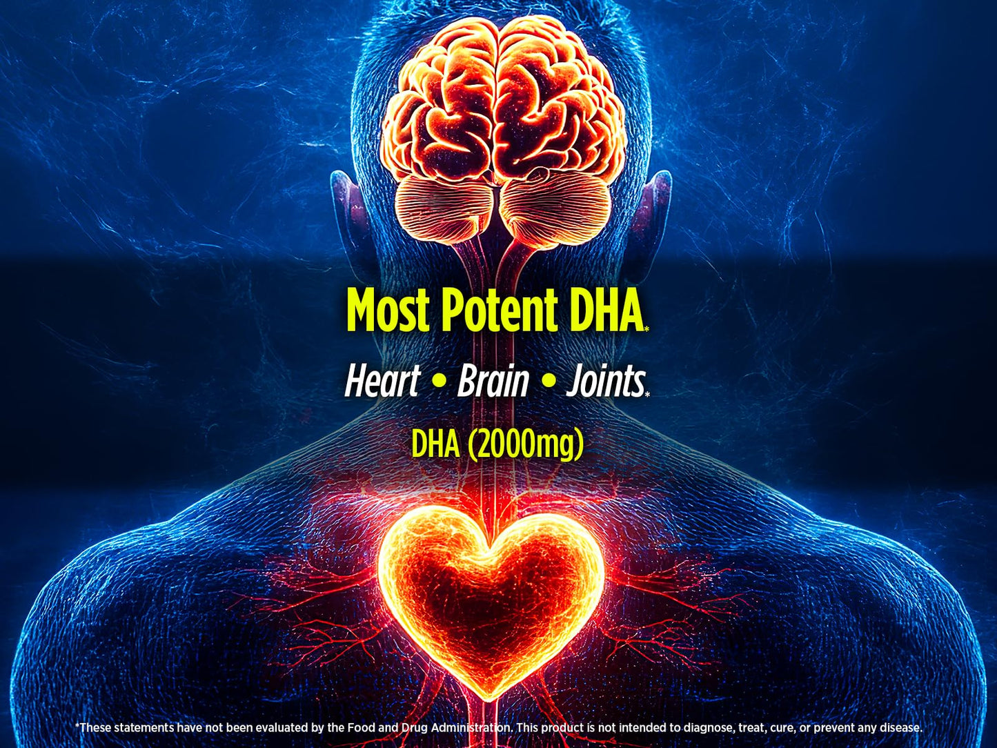 Biotest Flameout DHA-Rich Fish Oil Softgels 90 Count