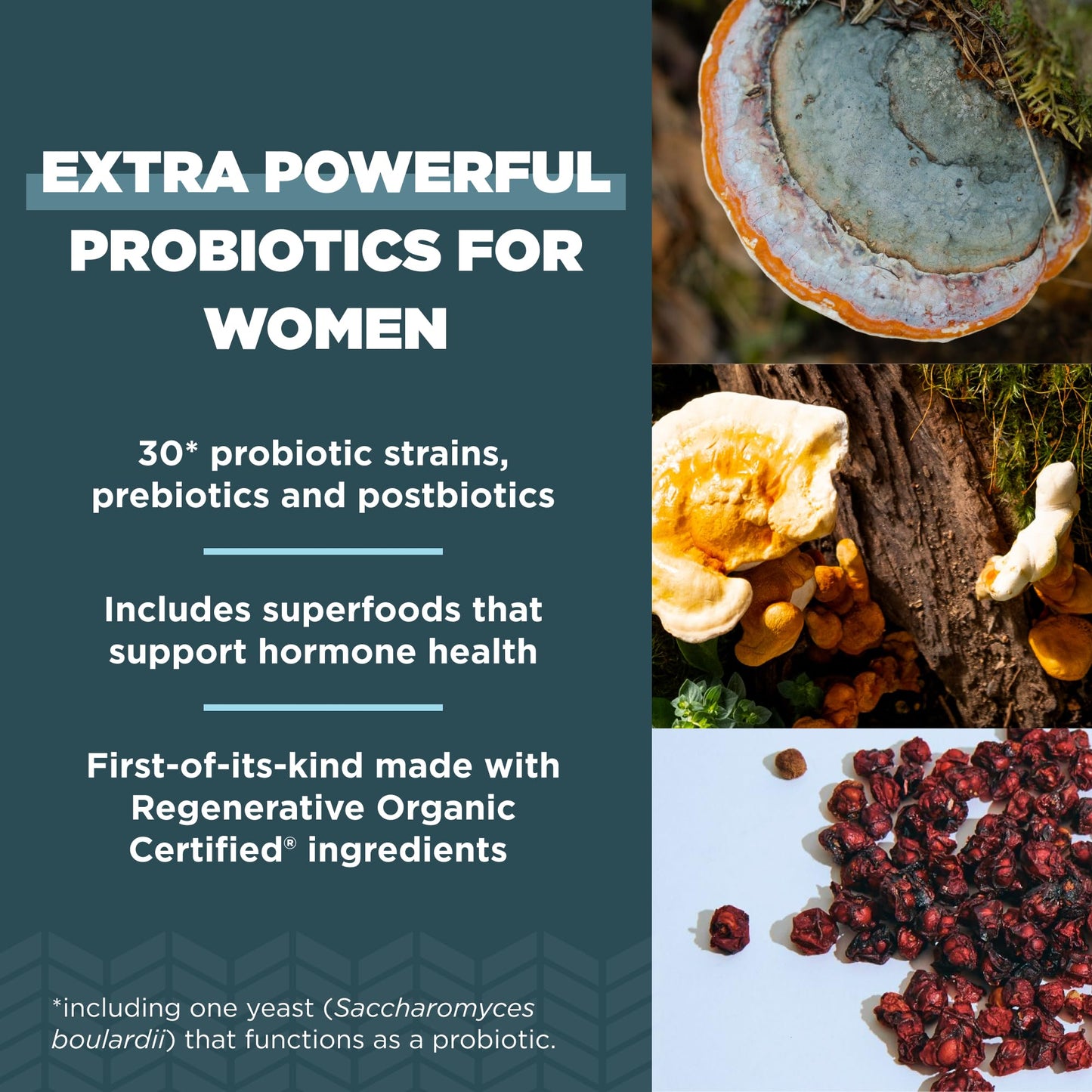 Ancient Nutrition Regenerative Organic Women's Extra Strength Probiotics Capsules 60 Count