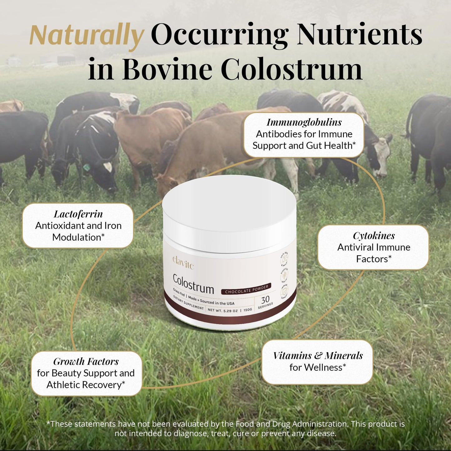Elavite Colostrum Powder (Chocolate) 5.29 Ounce