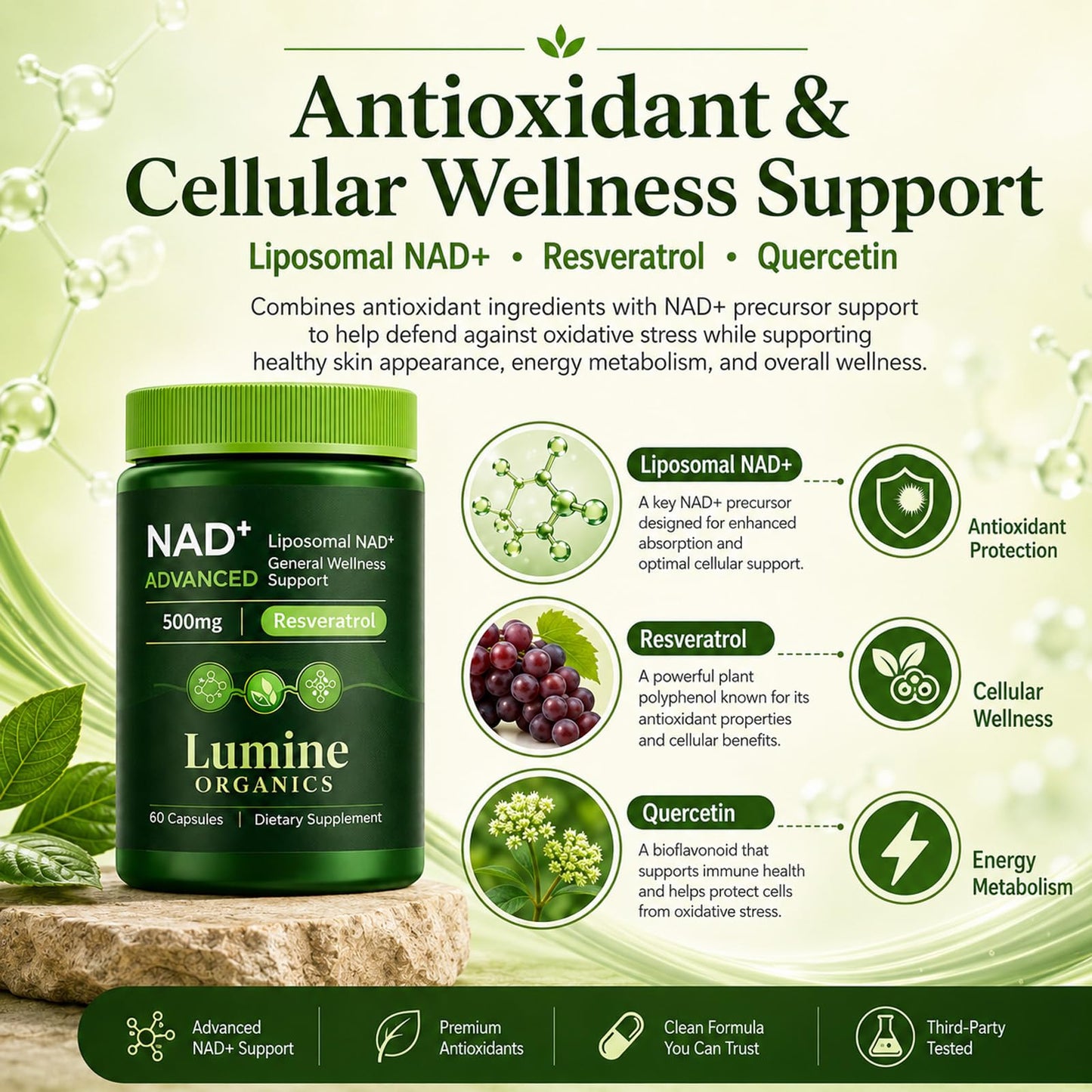 COLEPSW Lumine Organics NAD+ Supplement with Nicotinamide Riboside, Resveratrol & Quercetin Liposomal Capsules, 60 Capsules