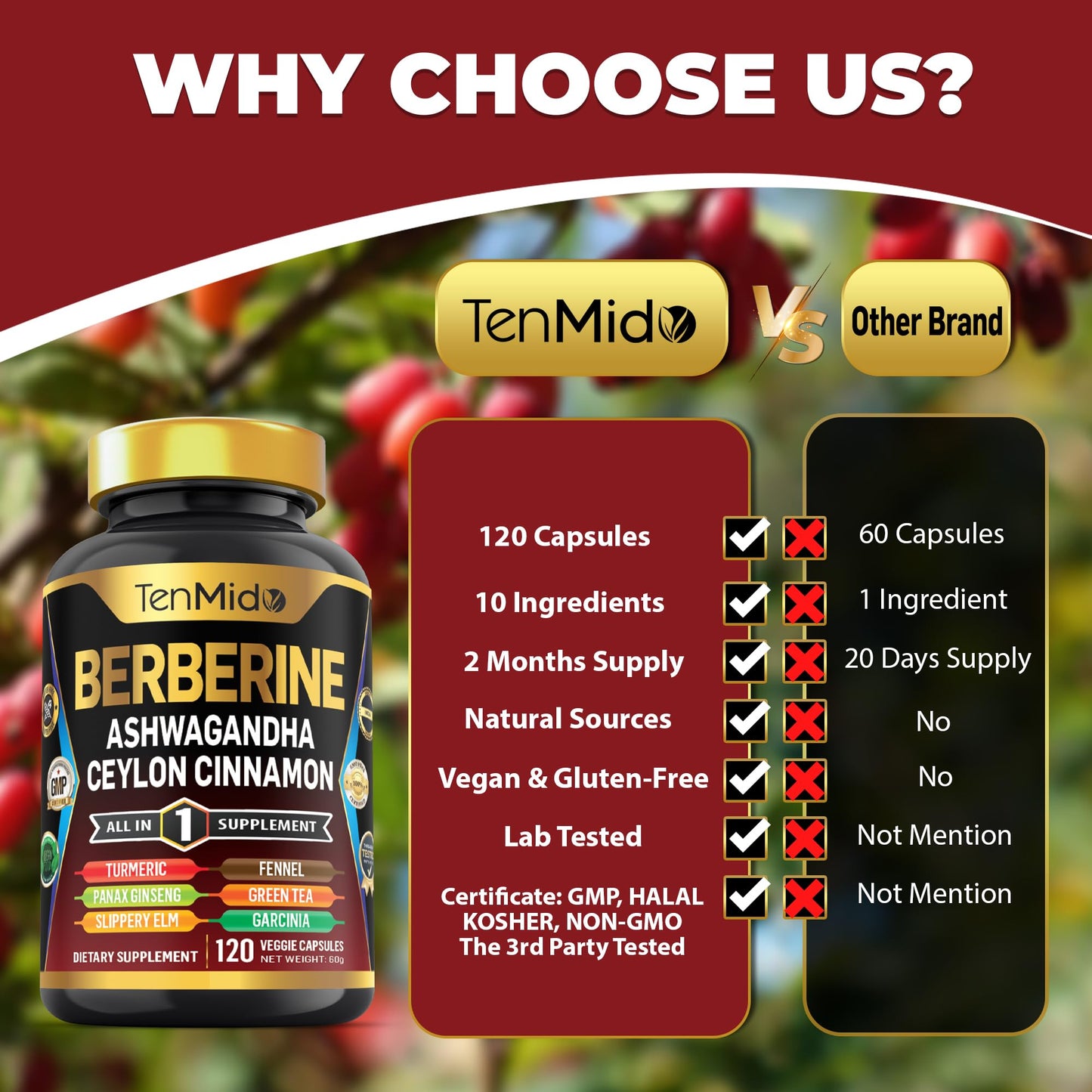 Tenmido Berberine Supplement Capsule, 120 Count