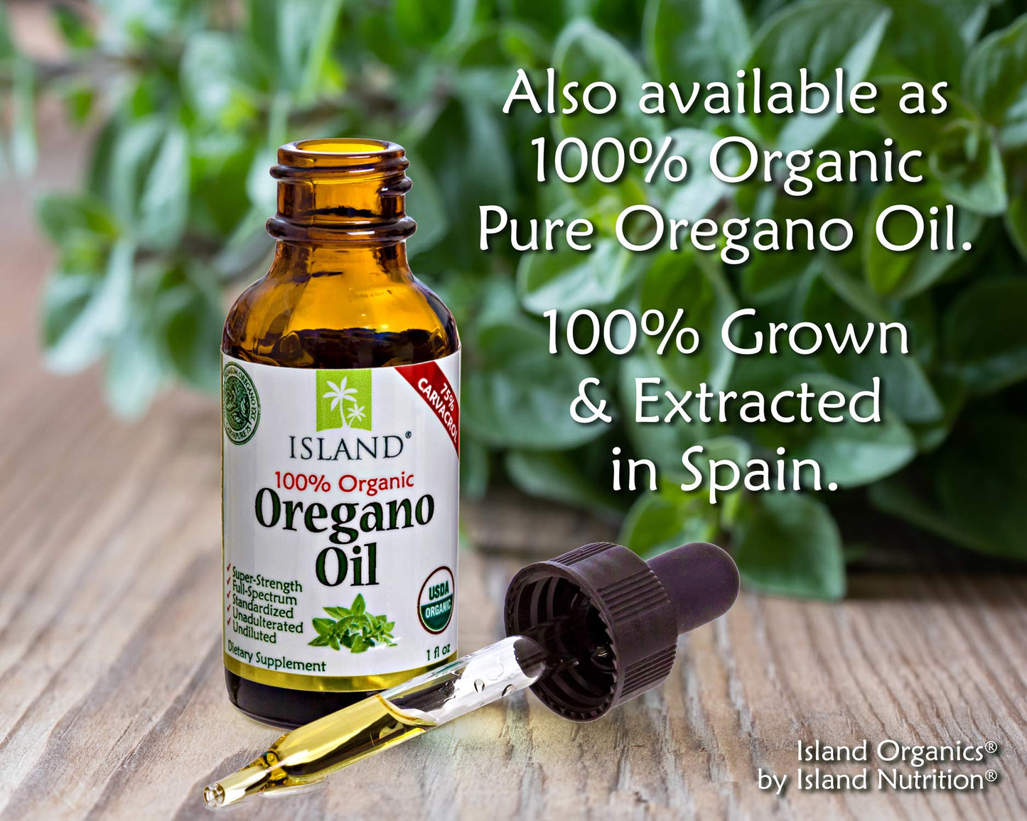 Island Nutrition Oregano Oil Capsules 90 Count