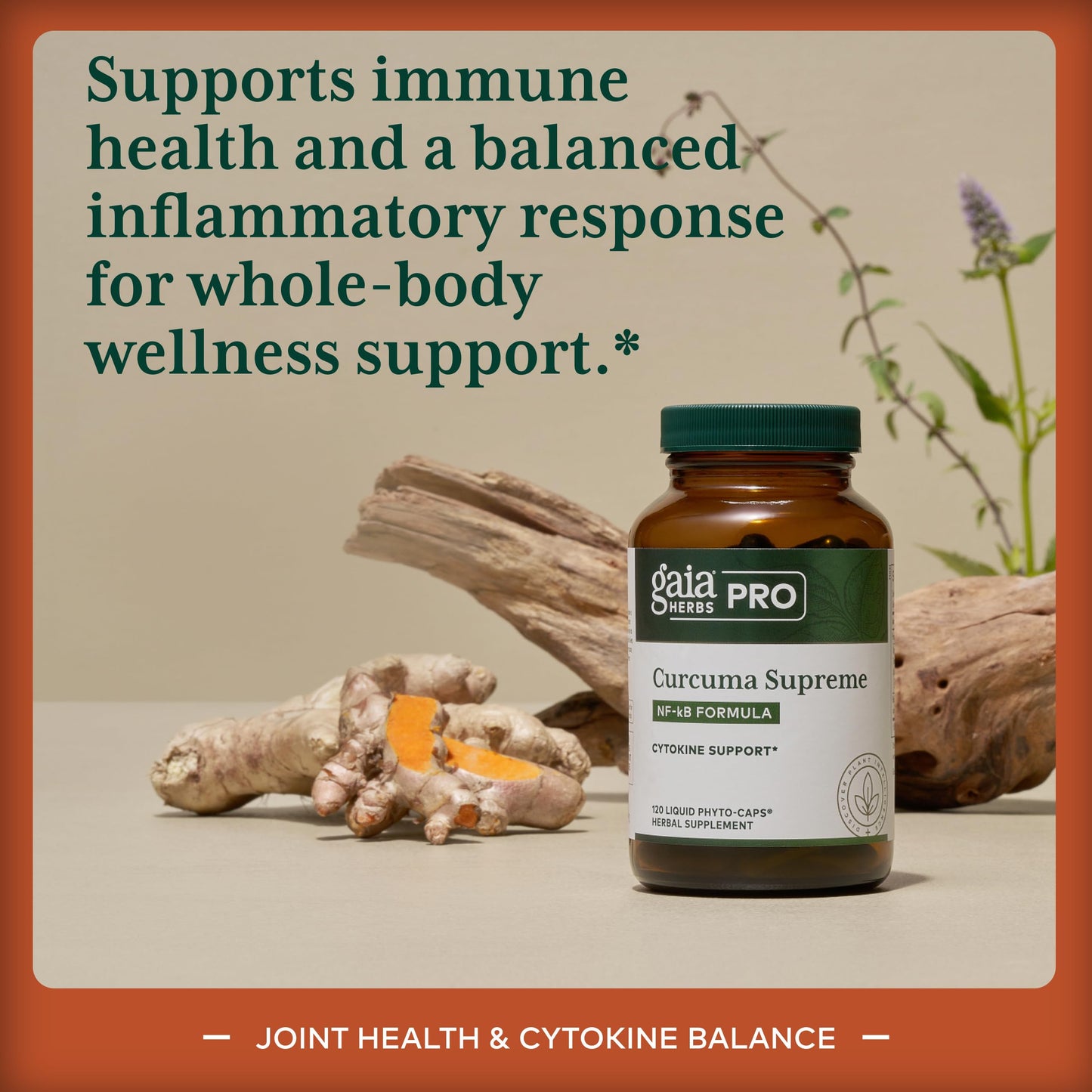 GAIA HERBS PRO Curcuma Supreme Immune Health Support Capsule 120
