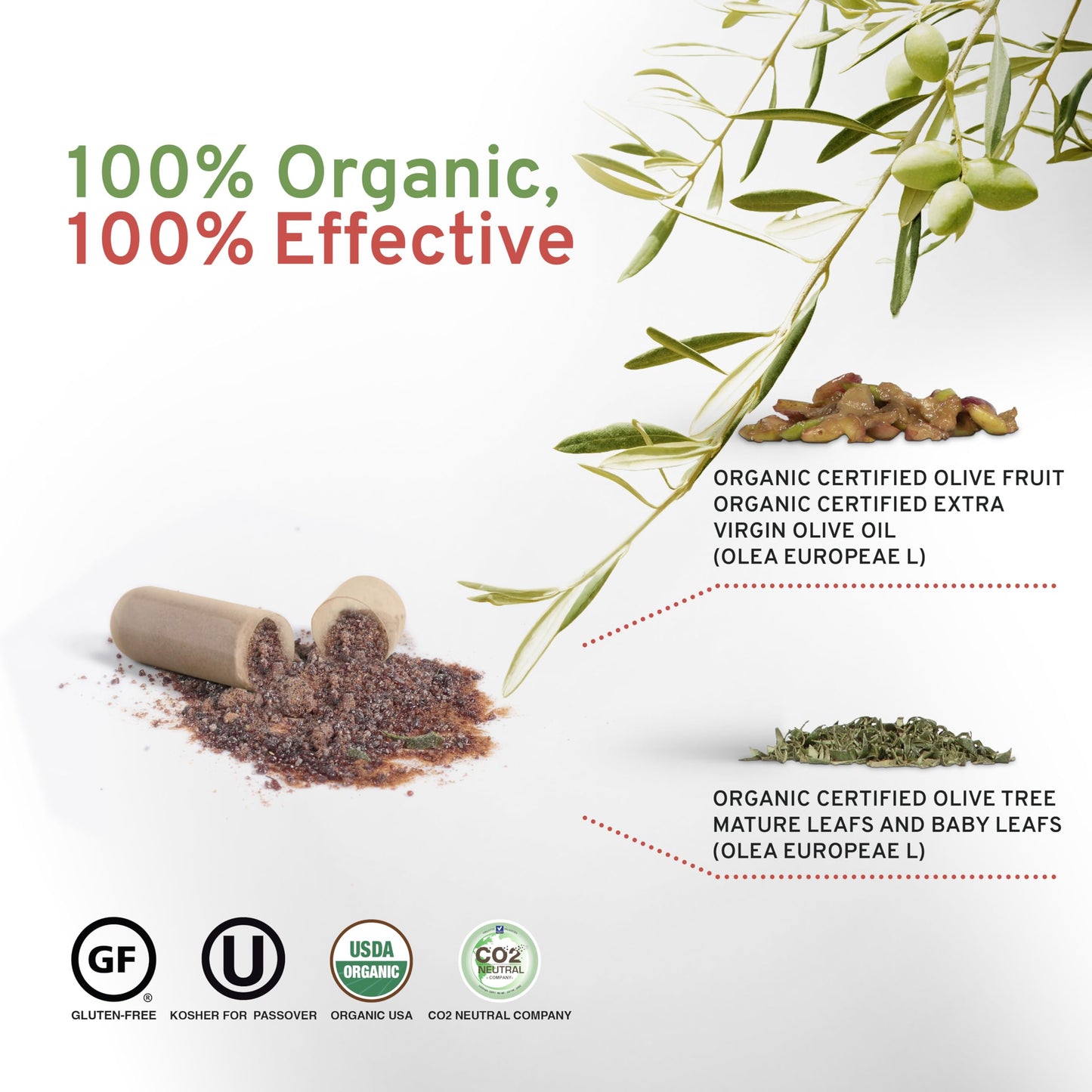 OLIVIE LES BIENFAITS DE L'OLIVIER Olivie Force/Rich Olive Leaf & Fruit Antioxidant Supplement Capsules 50