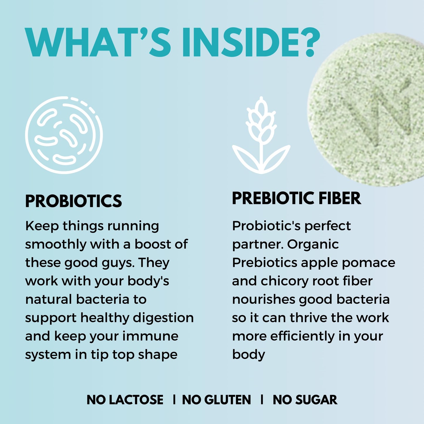 WELLBEING NUTRITION Daily Probiotic + Prebiotic Plant Based 18 Billion CFU, 6 Strains for Men & Women with Organic Prebiotic Fiber for Digestion, Gut Health, Metabolism, 42 Tablets