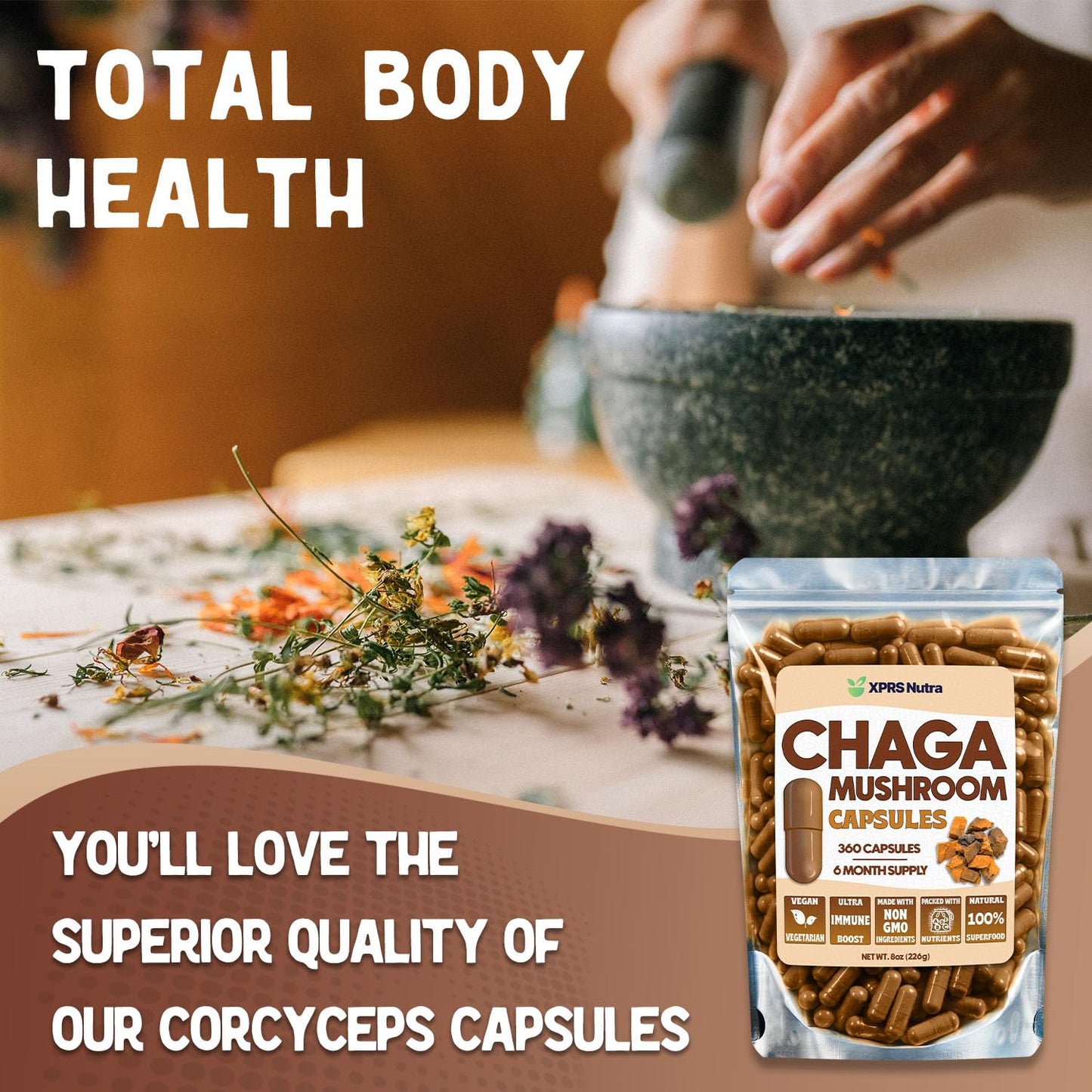 XPRS Nutra Chaga Mushroom Capsules, 360 Count