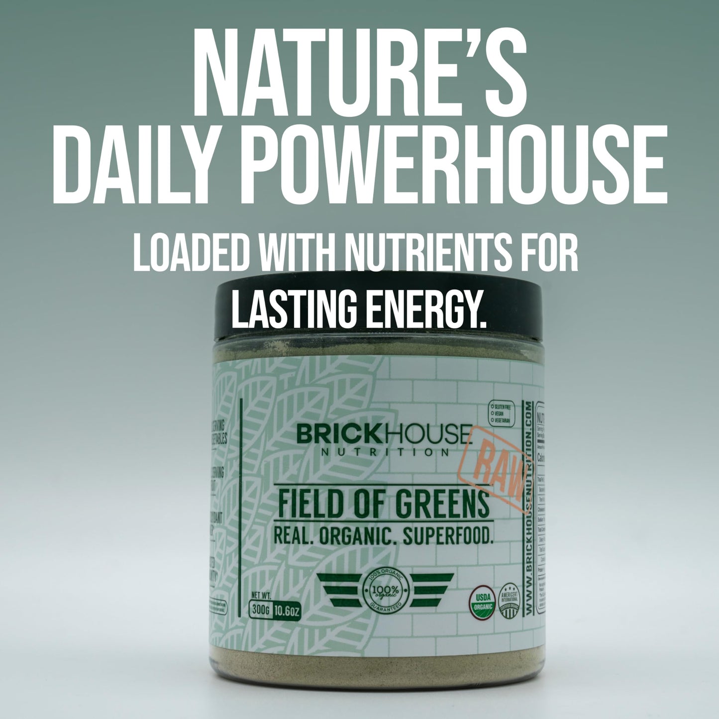 Brickhouse Nutrition Field of Greens Super Greens Powder, Doctor-Formulated Superfood Powder, Fruits & Veggies Supplement - Raw, 10.9 Ounce
