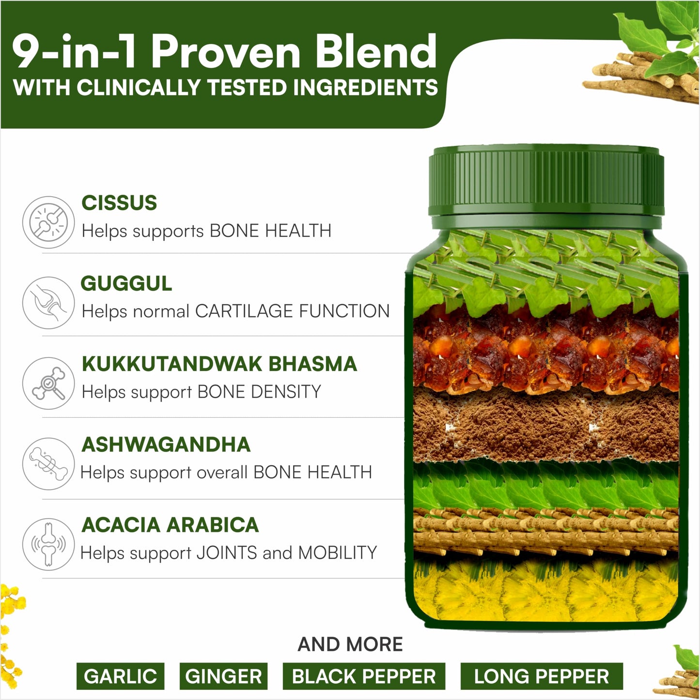 SHREE DHANWANTRI HERBALS SDH Bonartho Bone & Joint Support Supplement Capsule 90 Count