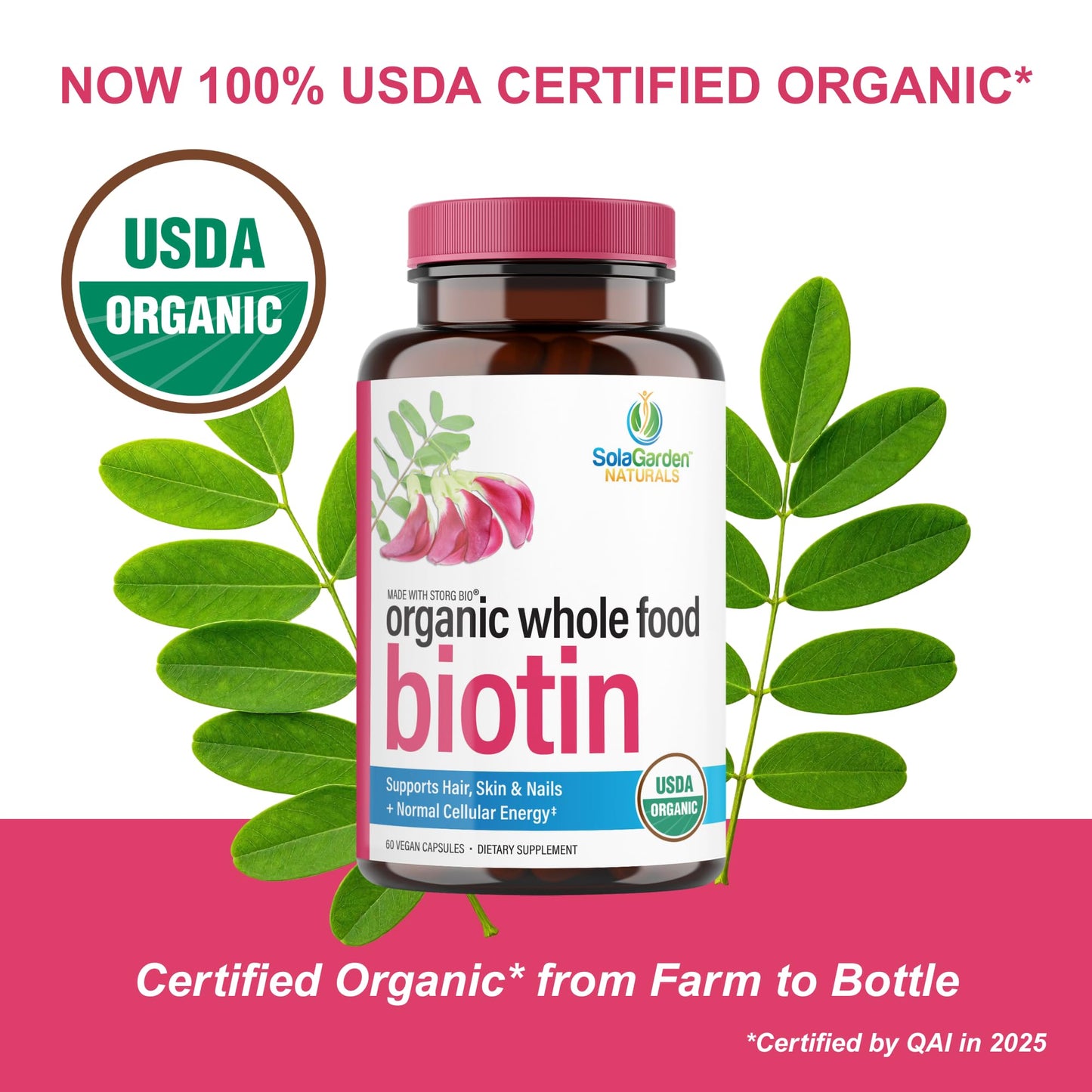 LifeGarden Naturals USDA Organic Whole Food Biotin Supplement Capsule 60 Capsules