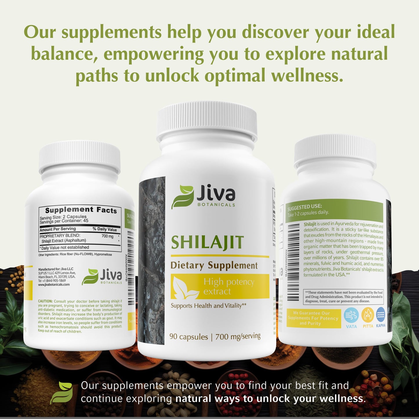 Jiva Botanicals Shilajit Capsules 700 mg with Fulvic Acid – Shilajit Supplement for Men & Women – 90 Vegan Capsules