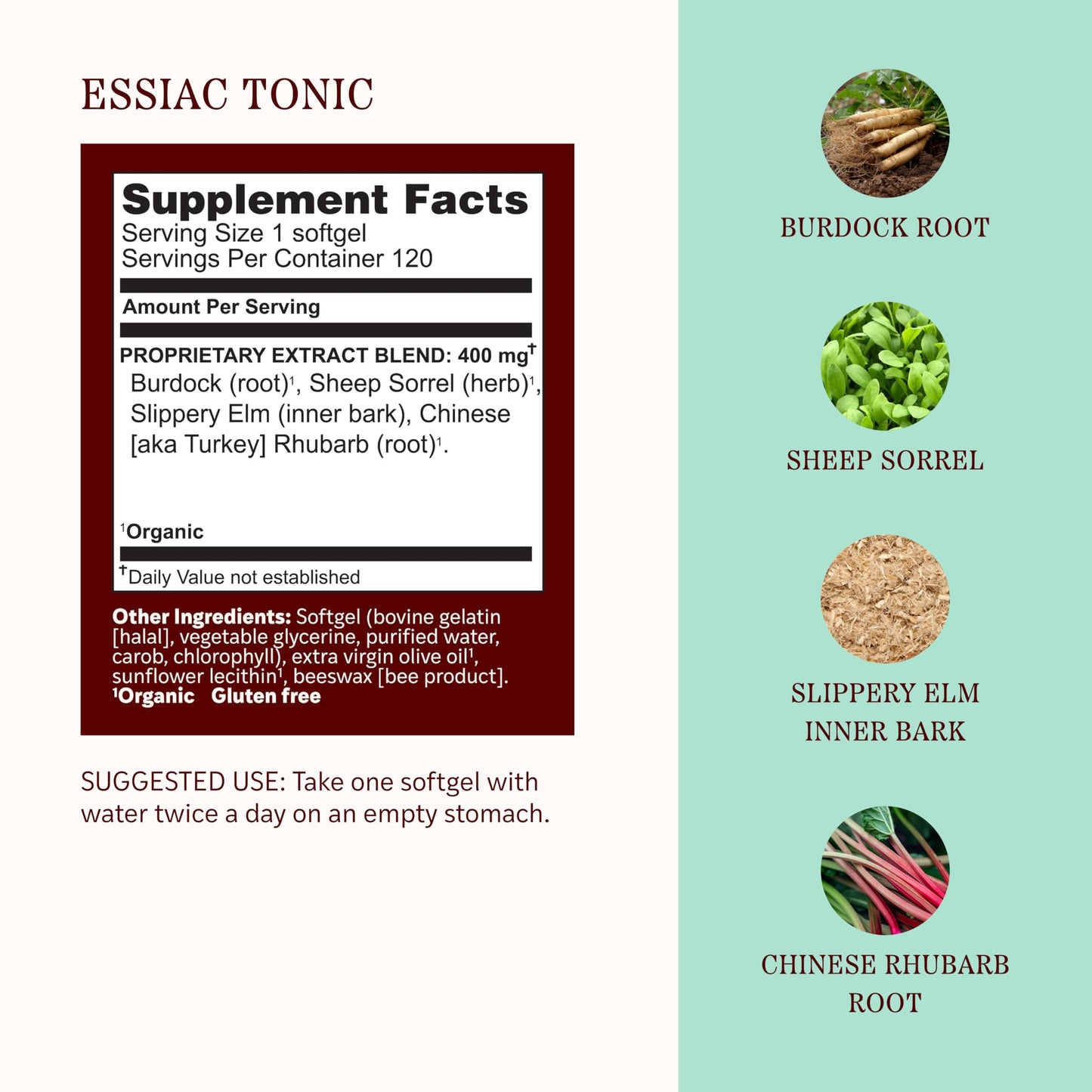 Herbs Etc. Essiac Tonic Ojibwa Body Cleansing Formula Softgels 120 Count