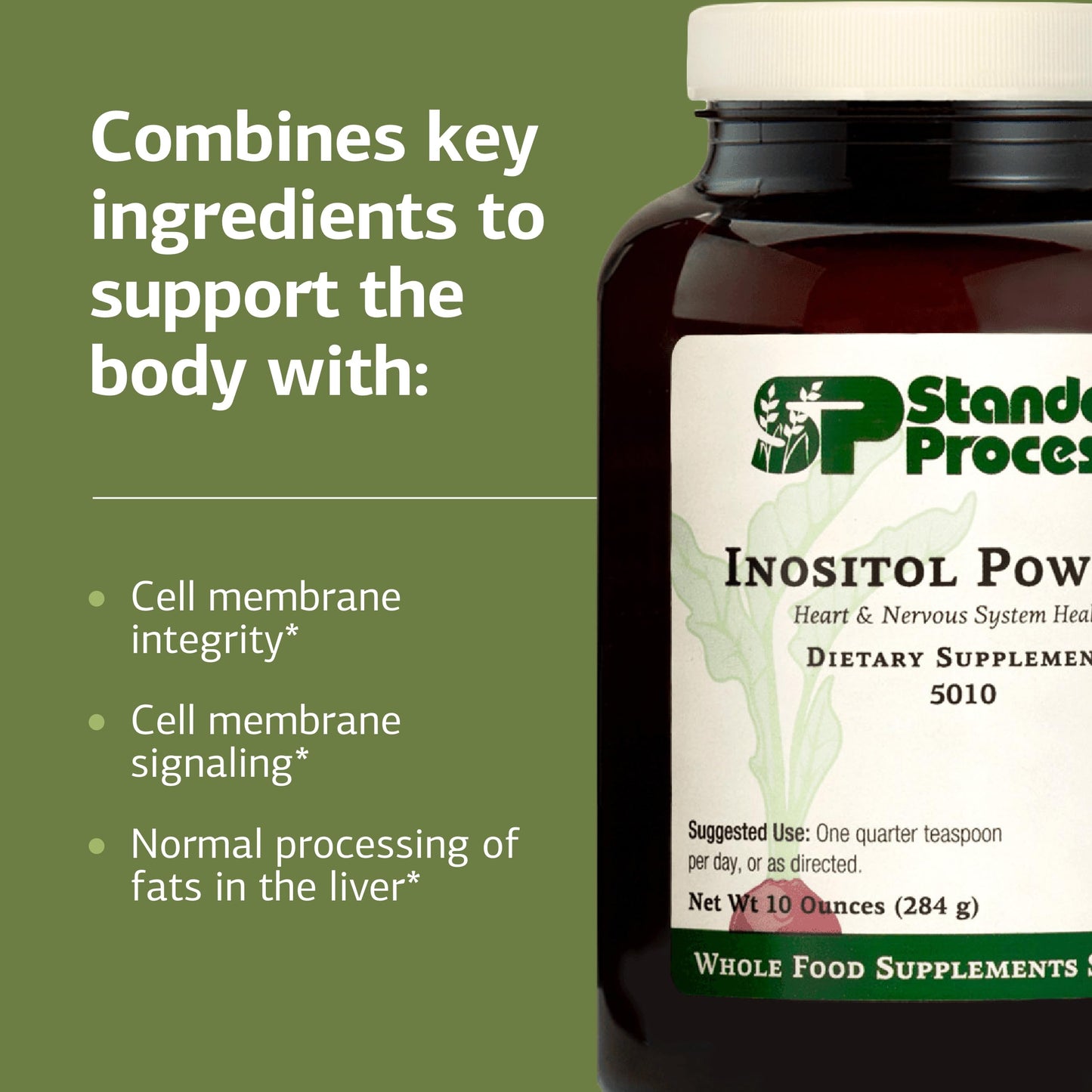 Standard Process Inc. Inositol Powder, 10.02 Ounce
