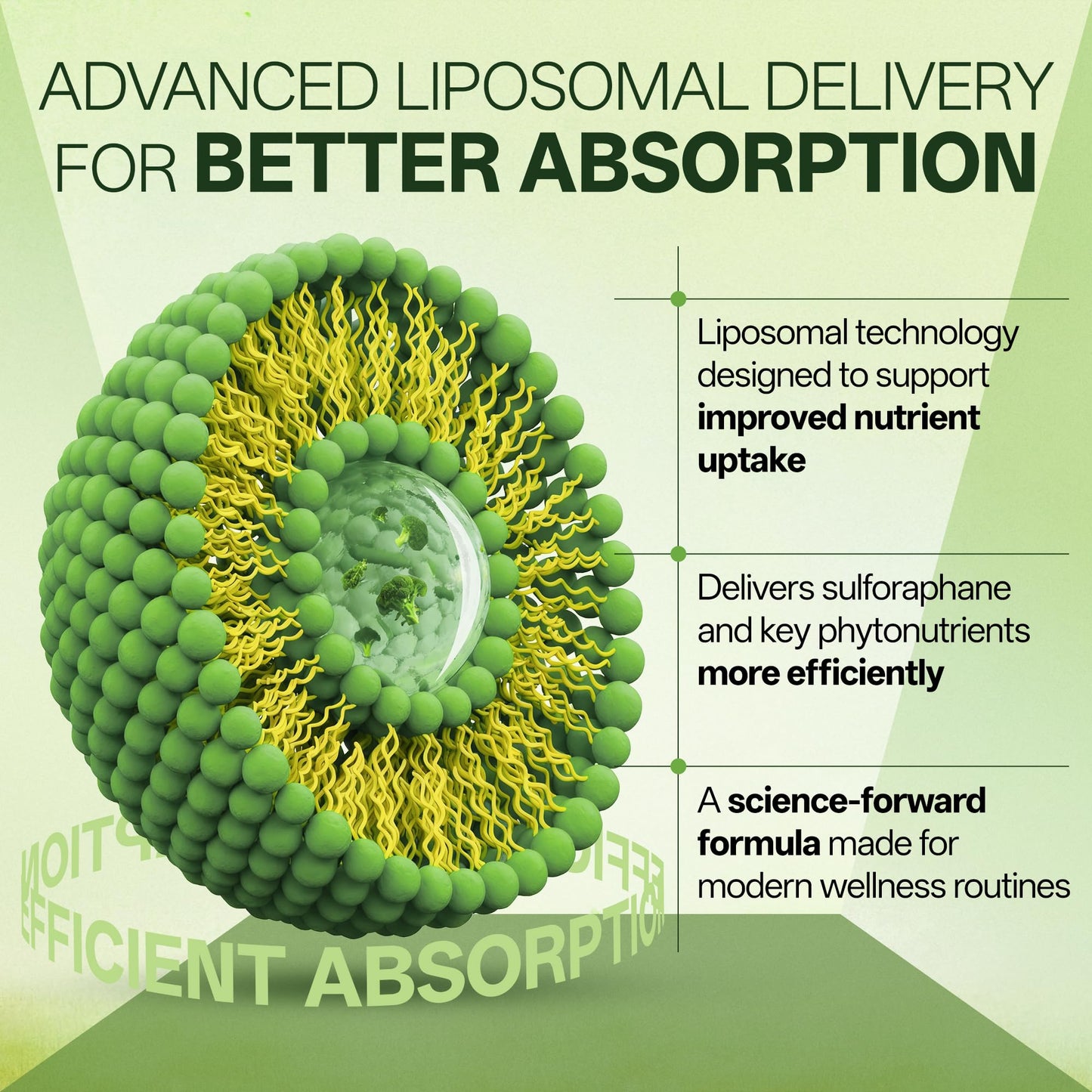 inGreens Liposomal Sulforaphane 500mg Supplement Capsules 120 Count