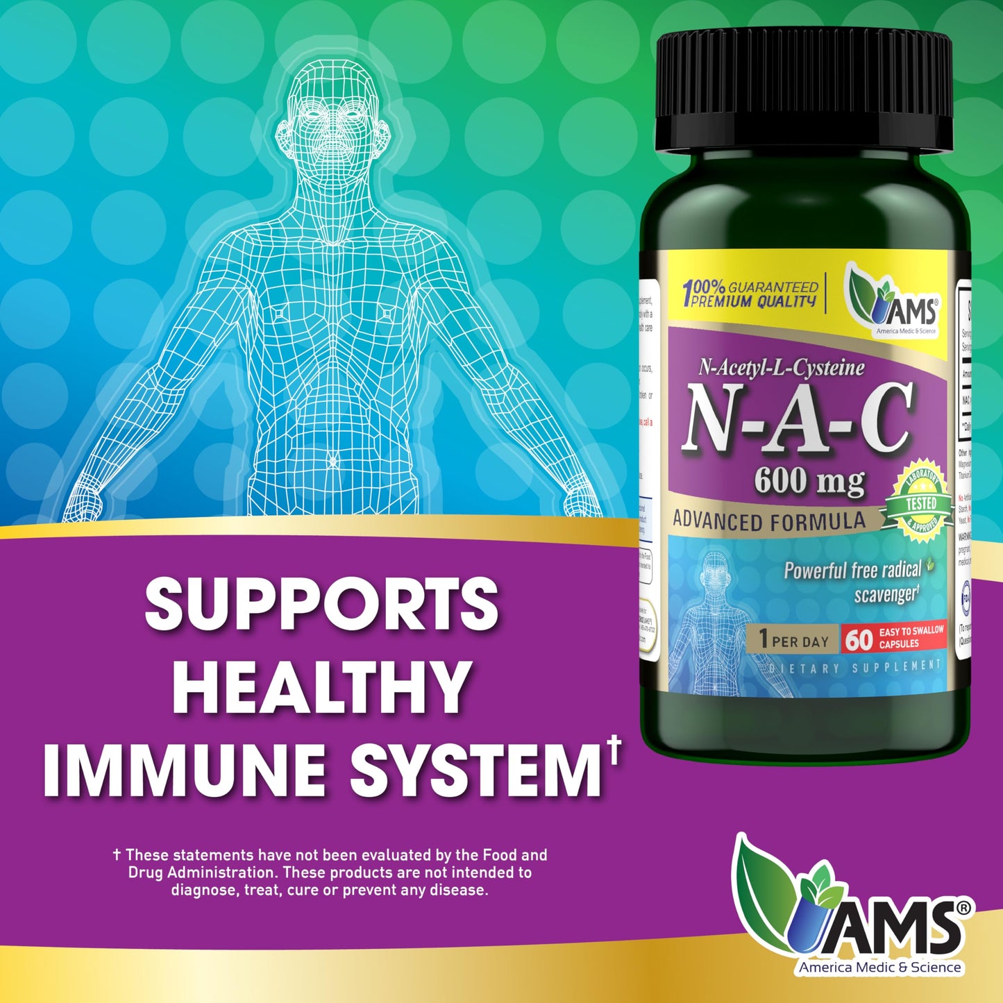 America Medic & Science NAC 600mg NAC Supplement for Lung Health & Immune Support, Liver Support & Antioxidants – N-Acetyl-L-Cysteine Capsules, 180 Count