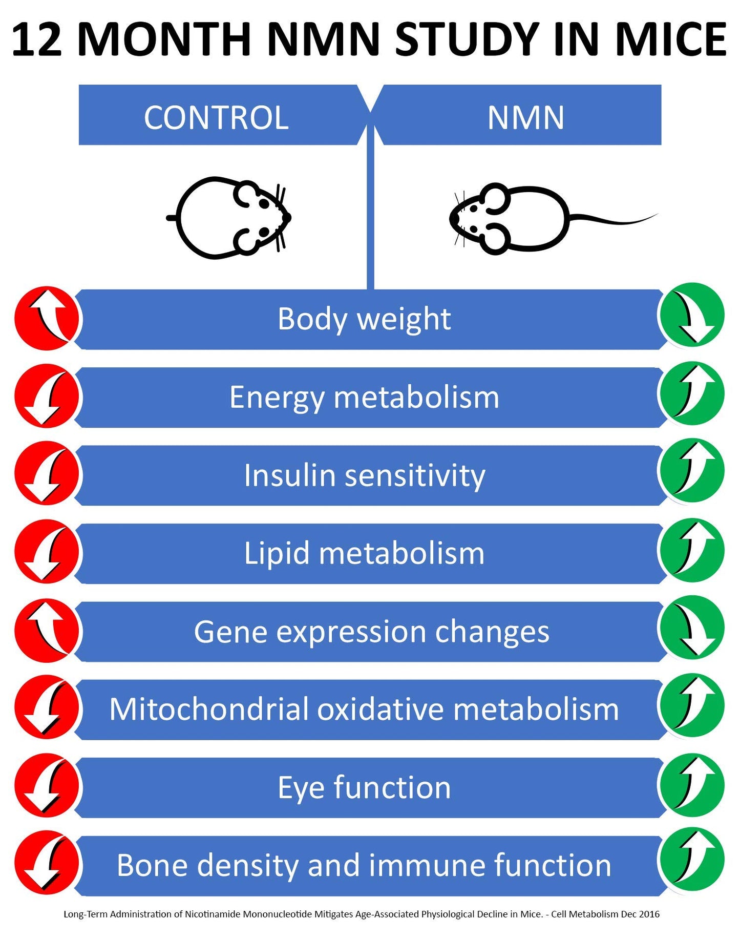 MAAC10 NMN 125mg Capsule, 90 Capsules