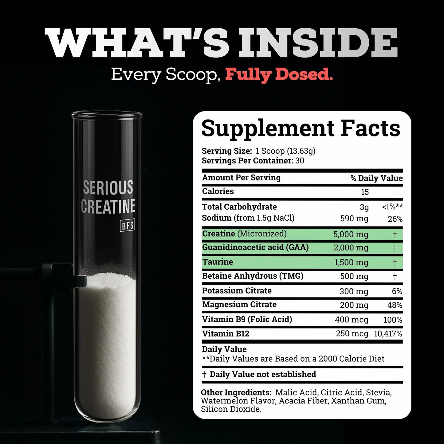 Black Forest Creatine Electrolyte Powder 14.5 oz