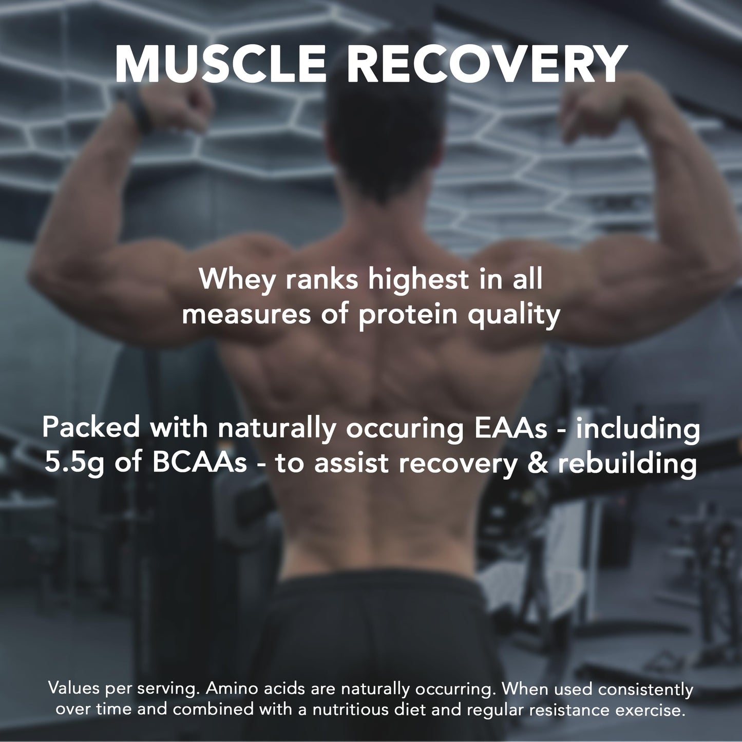 Rivalus Rival Whey Protein Powder 32