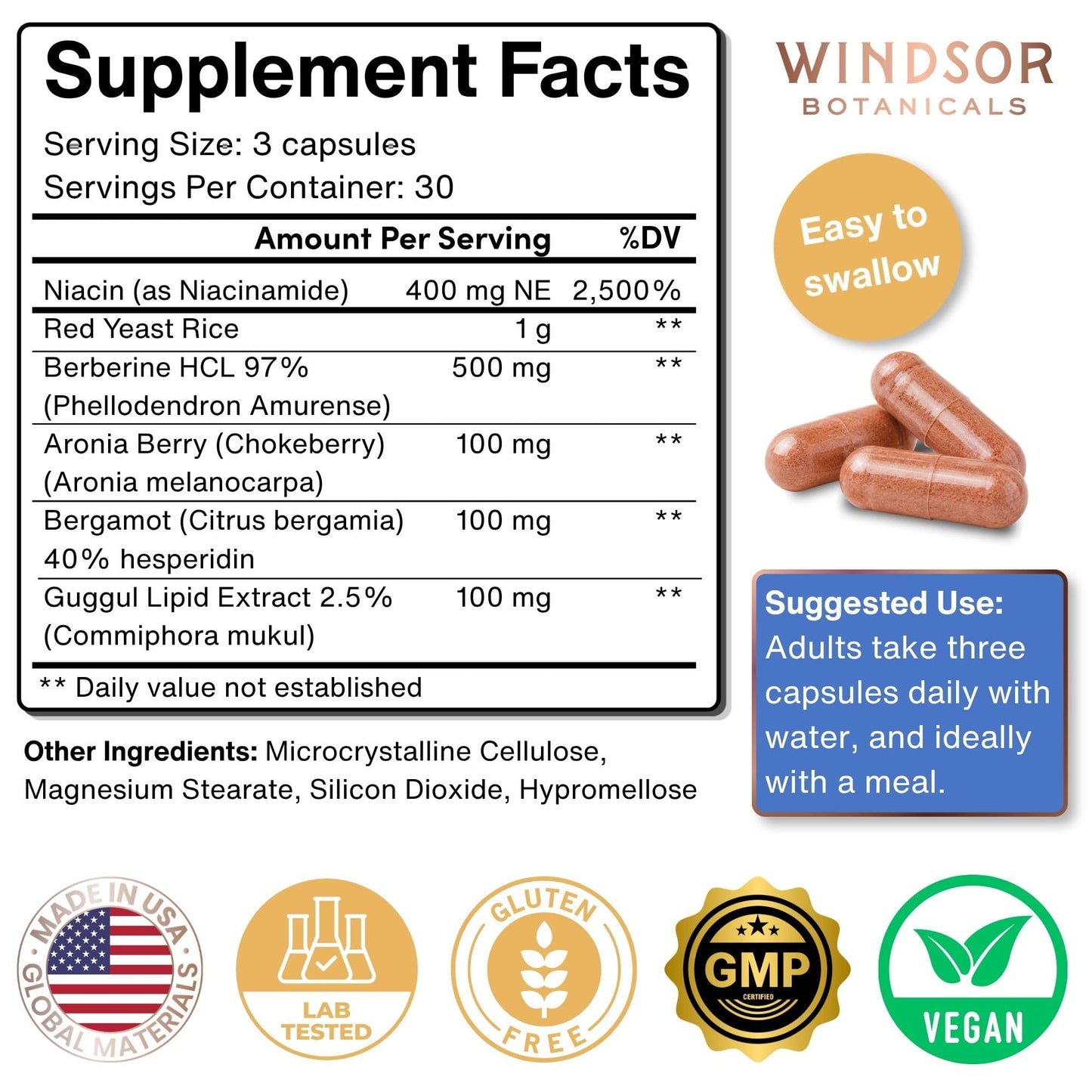 WINDSOR BOTANICALS Cholesterol Supplements Capsules 90