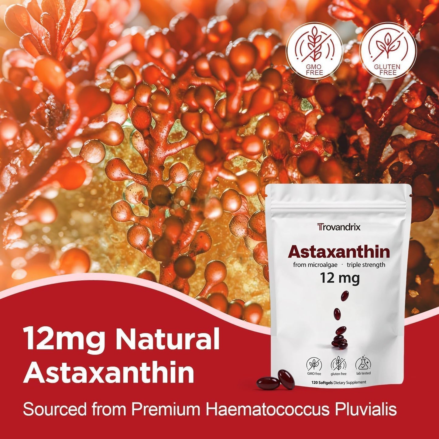 Ormelique Astaxanthin 12mg with MCT Oil Softgels 120 Count