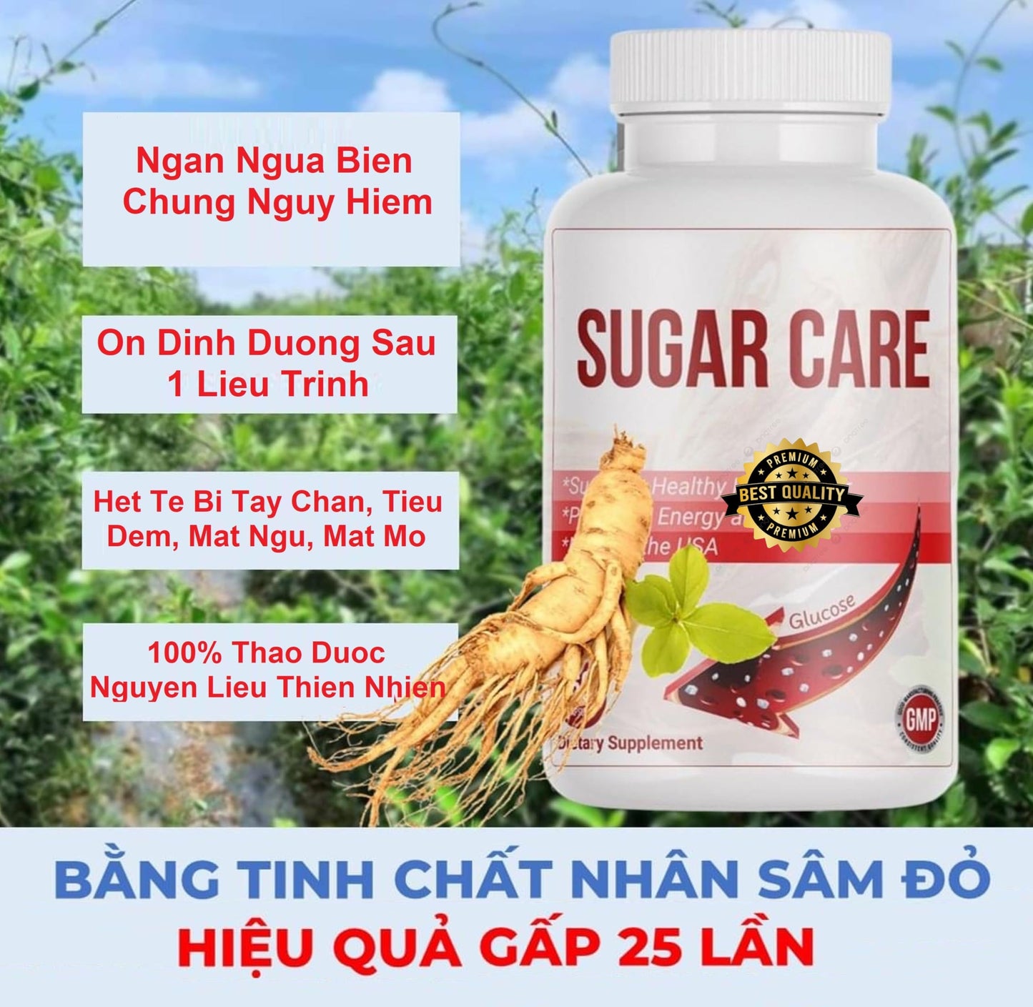 Generic Sugar Care Thảo Dược, Chất Nhân Sâm Đỏ (100% Sản Phẩm Chính Hãng USA) Capsules 180