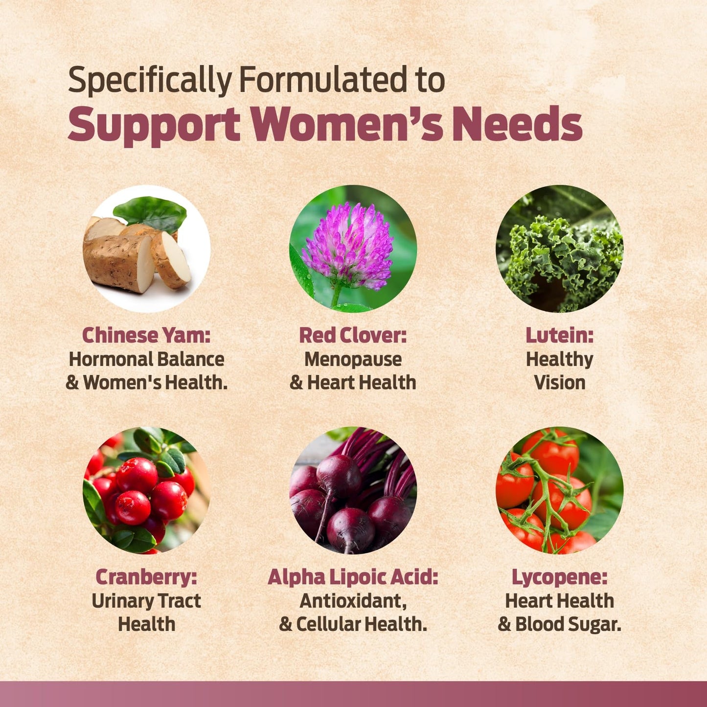 ForestLeaf Daily Vitamin Multivitamin for Women Capsules, 60 Count