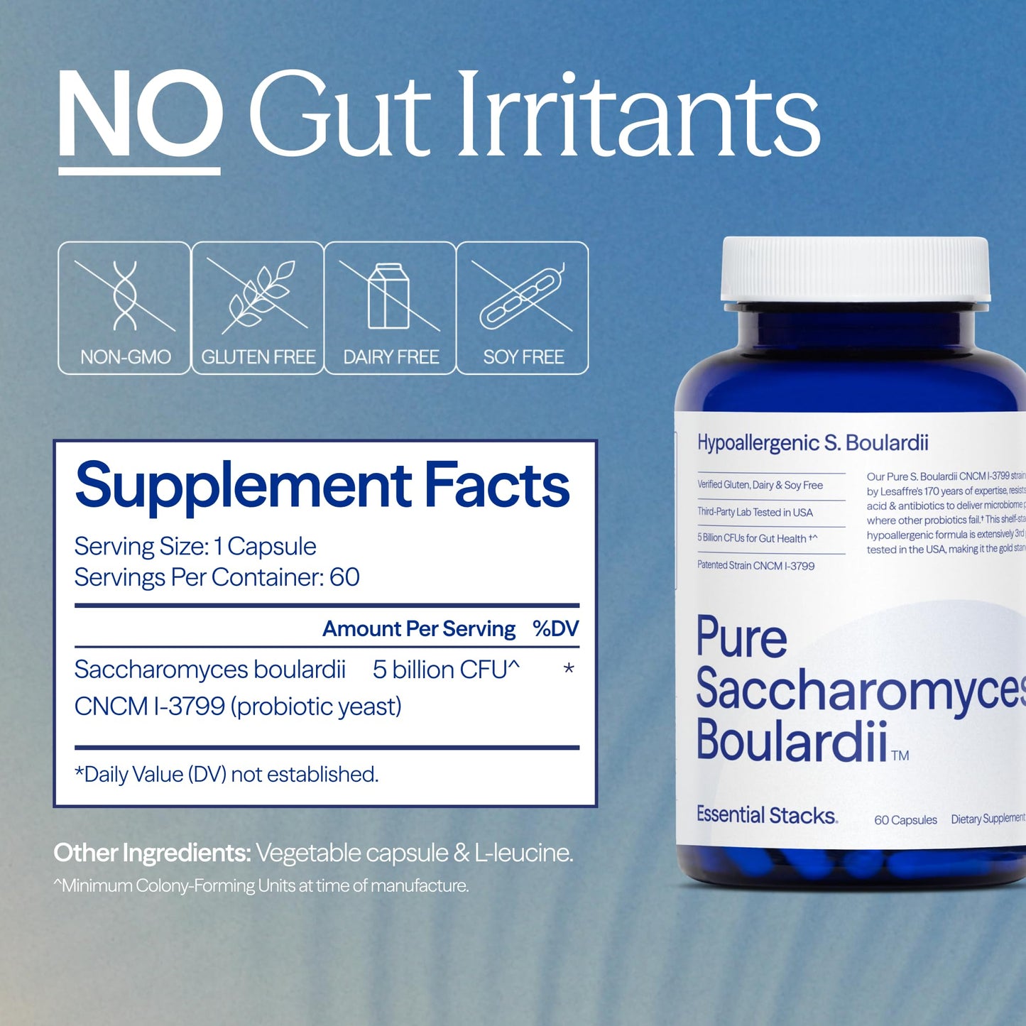 Essential Stacks Saccharomyces Boulardii Probiotics Capsules, 60 Count