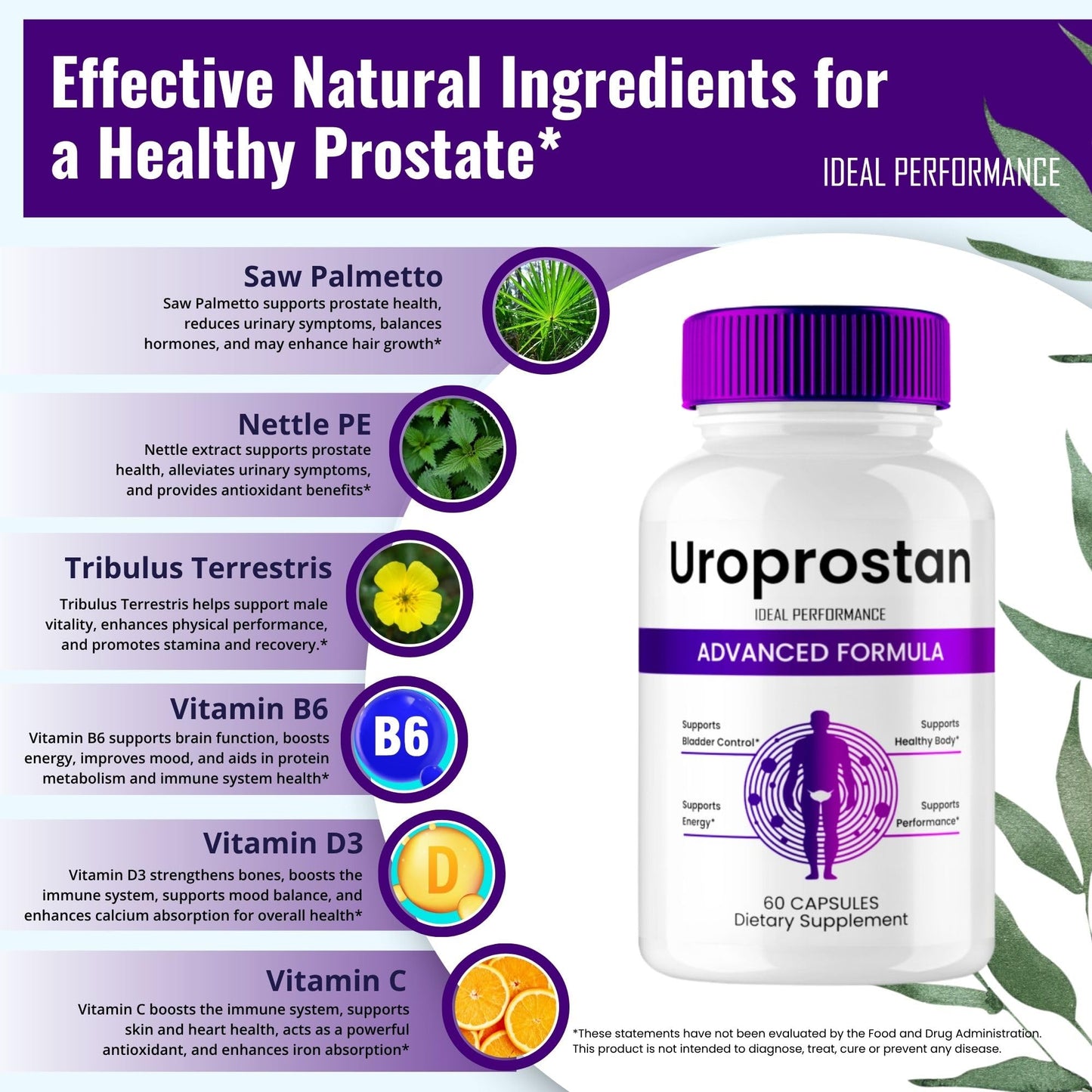 IDEAL PERFORMANCE Uroprostan 60 Capsules
