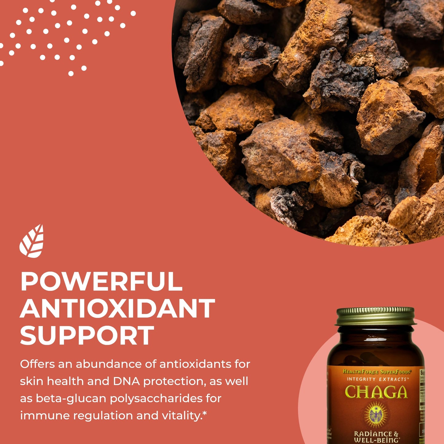 HEALTHFORCE SUPERFOODS Integrity Extracts Chaga Capsules 90 Count