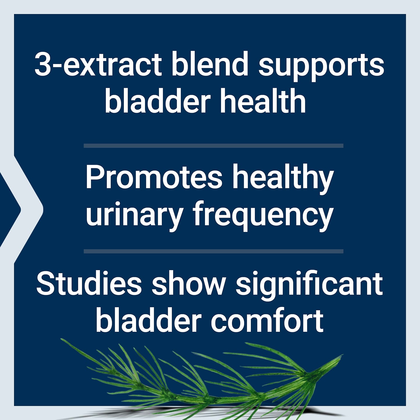 Life Extension Women's Bladder Support Capsules, 60 Count