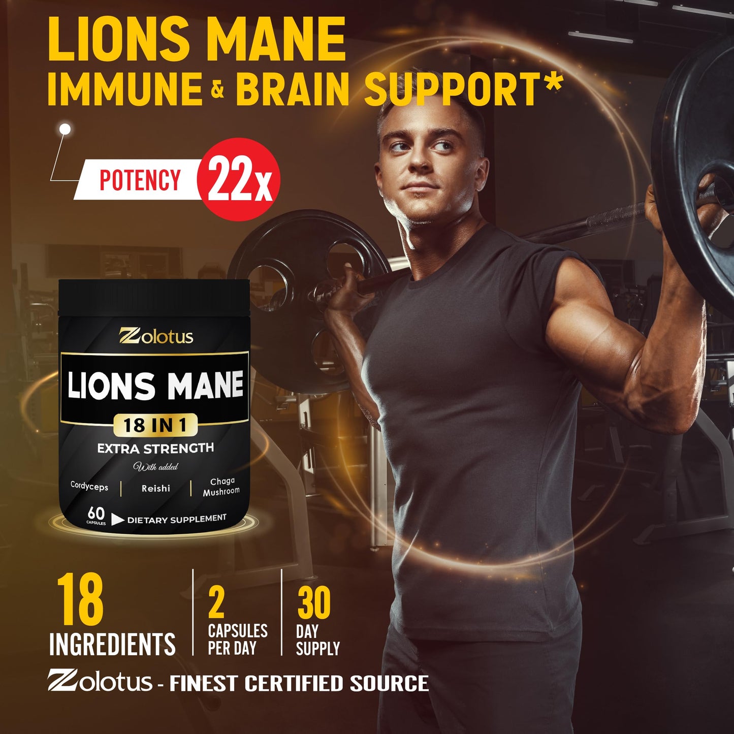 Zolotus Lions Mane Mushroom Capsules with Cordeyceps, Elderberry, Ginkgo Biloba, Bacopa, 60 Capsules
