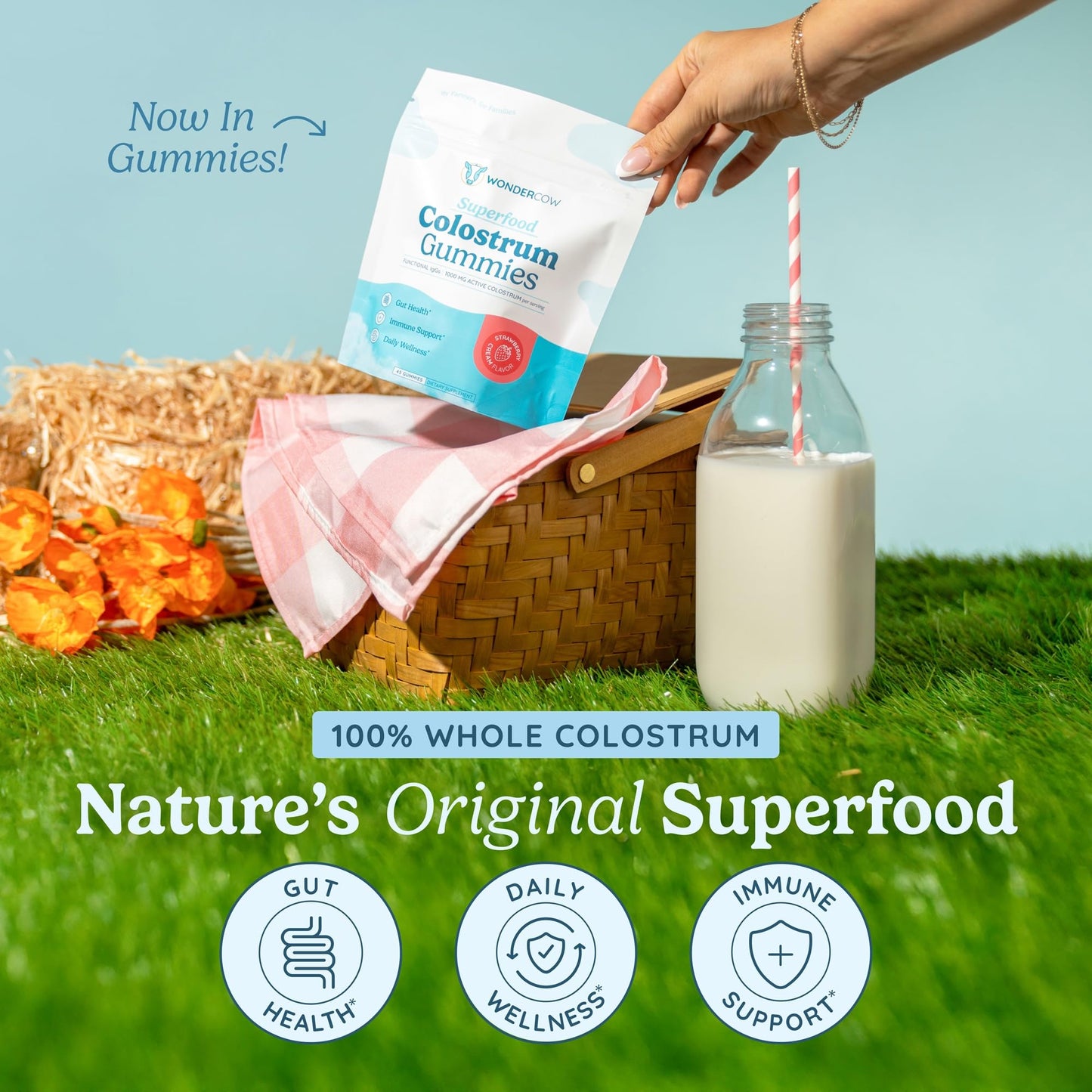 WONDERCOW Colostrum Gummies for Gut Health, Immune Support & Wellness Gummy, 45 Gummies