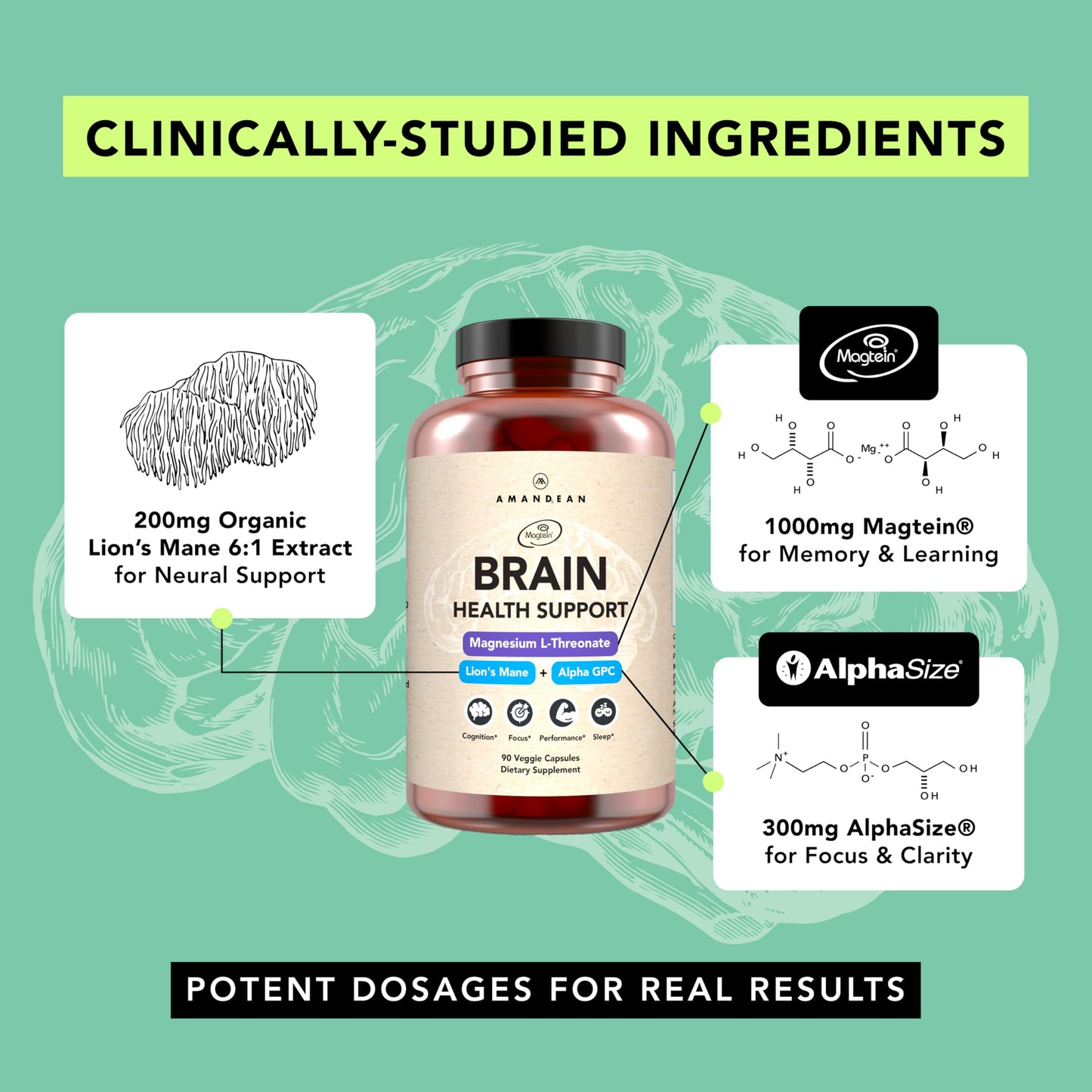 AMANDEAN Brain Supplement Capsule 90 Count