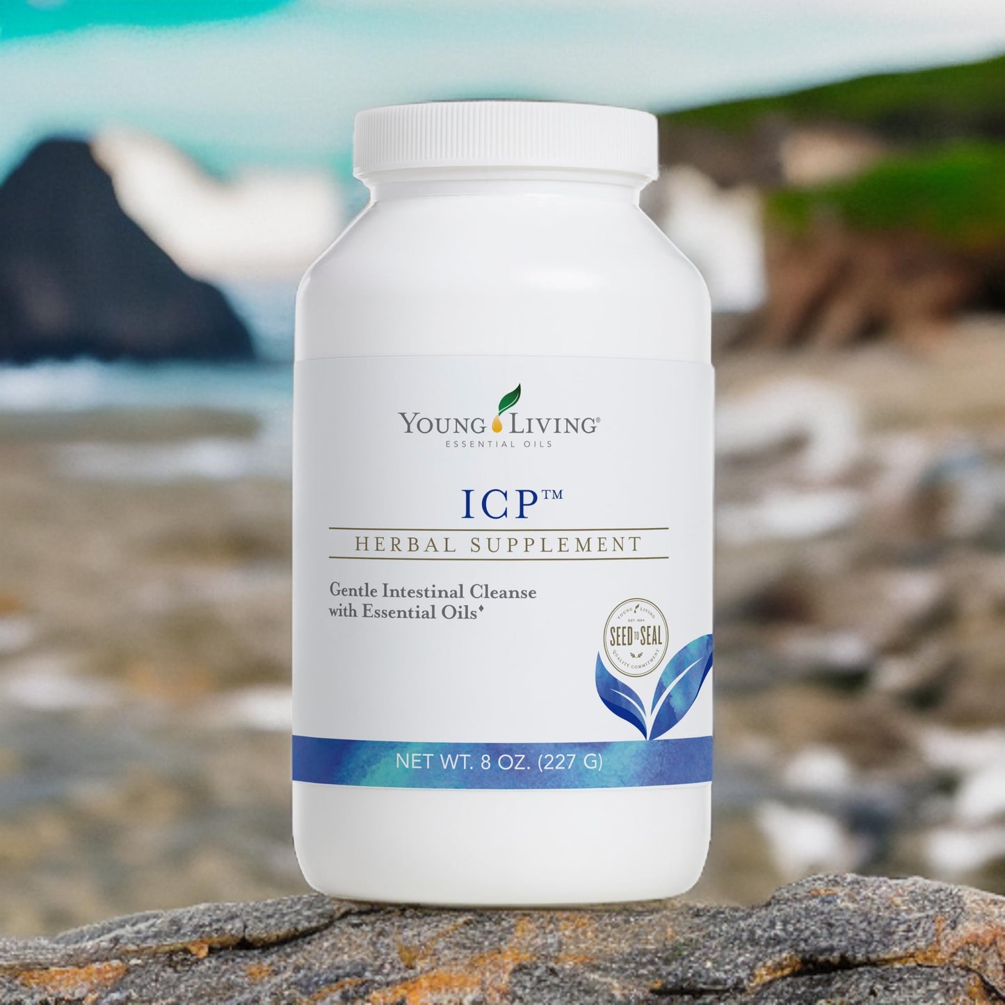 Young Living ICP Powder 8 oz