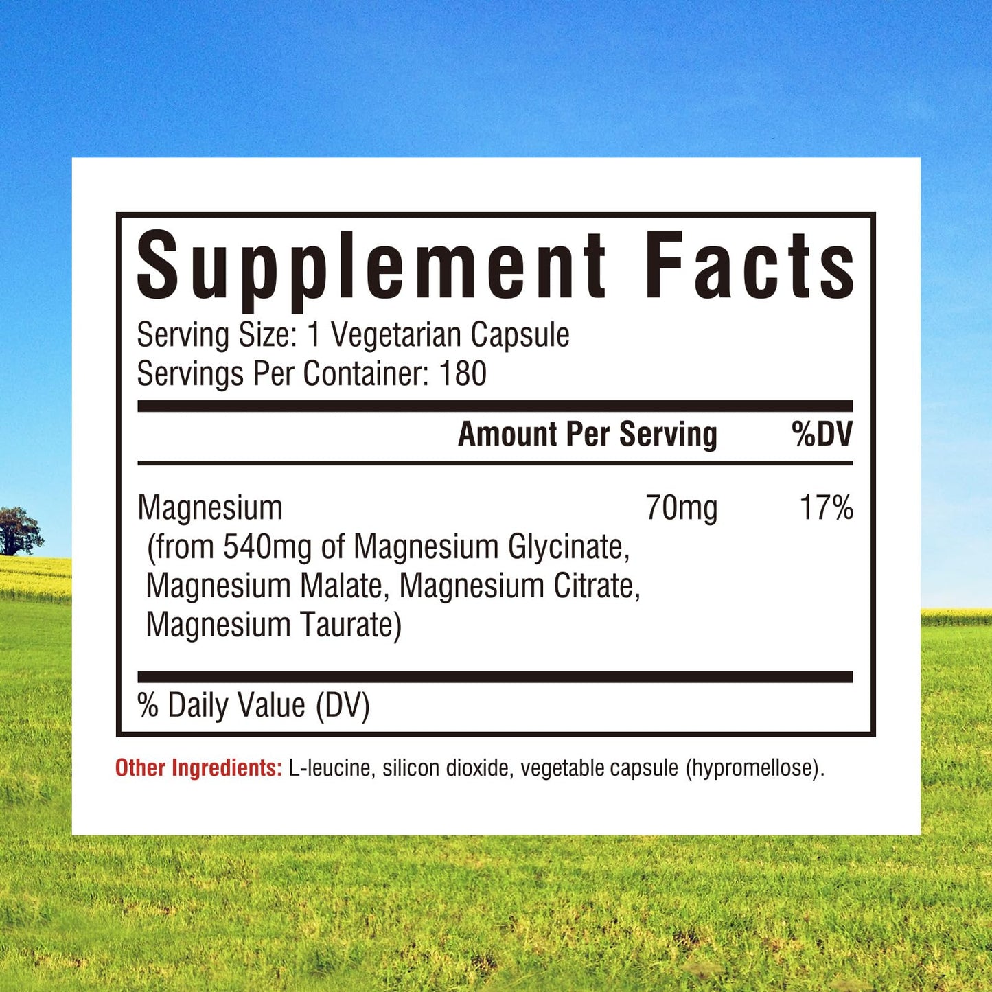 Innate Vitality Magnesium Complex Capsules, 180 Count