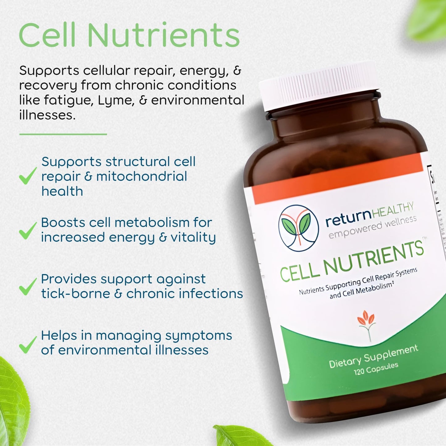 Return Healthy Cell Stabilization Kit - 5-in-1 Mitochondrial Supplements for Cellular Vitality, Gut Health & Brain Support - Health Essentials, Wellness Protocol - Non-GMO, Plant-Based, USA-Made Capsules, 5-Count