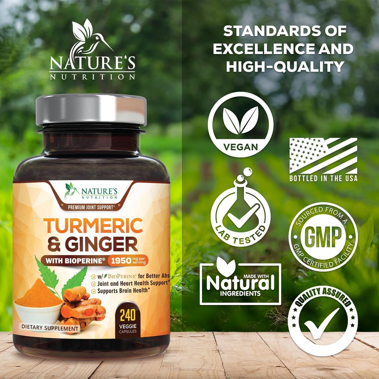 Nature's Nutrition Turmeric Curcumin Supplement Capsule 240 Count