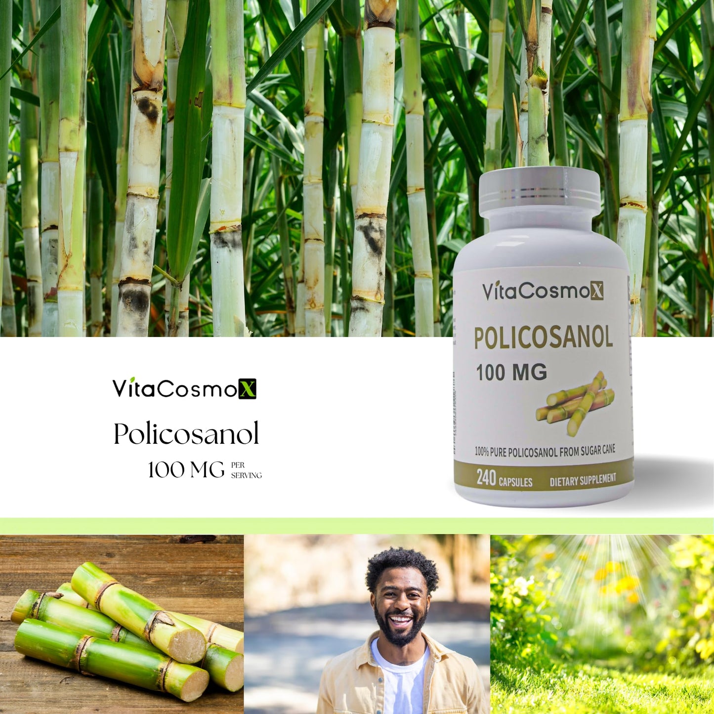 VitaCosmoX Policosanol Sugar Cane Extract 100mg Capsules 480 Count