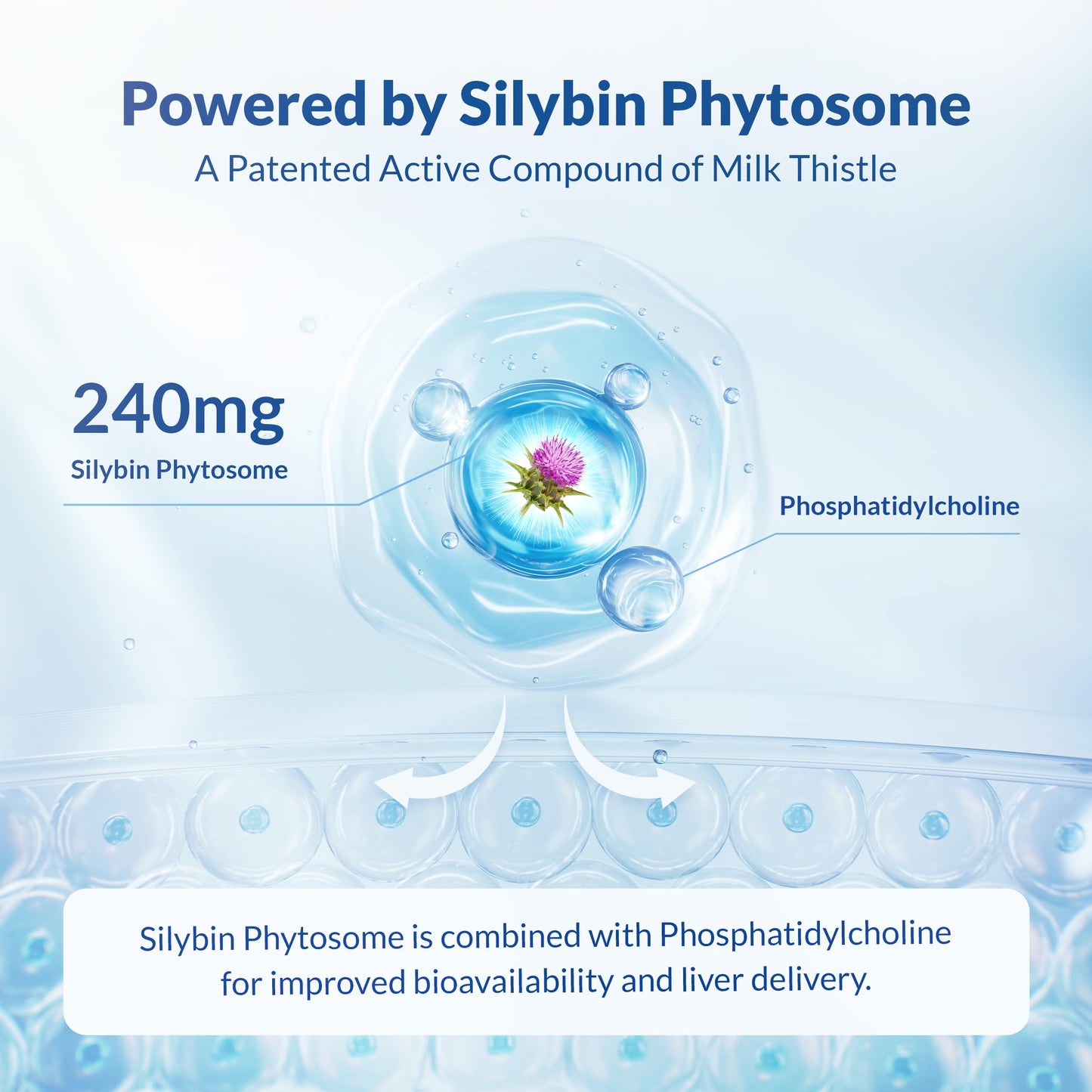 Natural Wellness Milk Thistle Liver Support Capsules, 90 Count