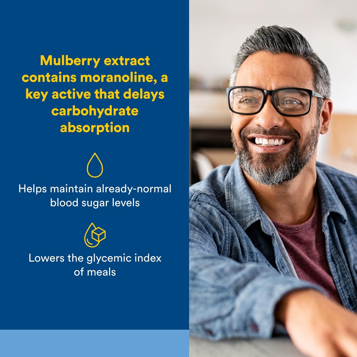 Natural Factors WellBetX Mulberry Extract 100 mg, 90 Capsules