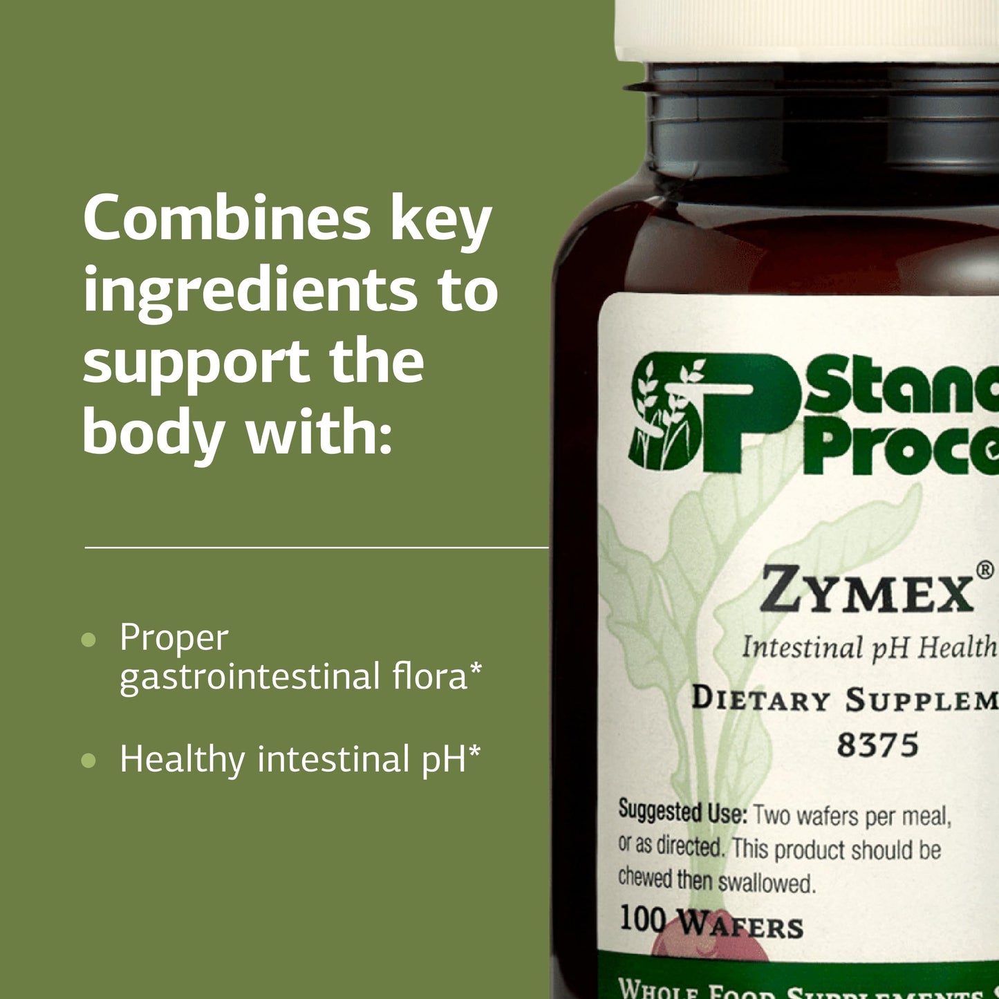 Standard Process Inc. Zymex Wafers Digestive & Gut Health - Provides pH & Intestinal Tract Support - Vegetarian & Non-Soy, 100 Tablets