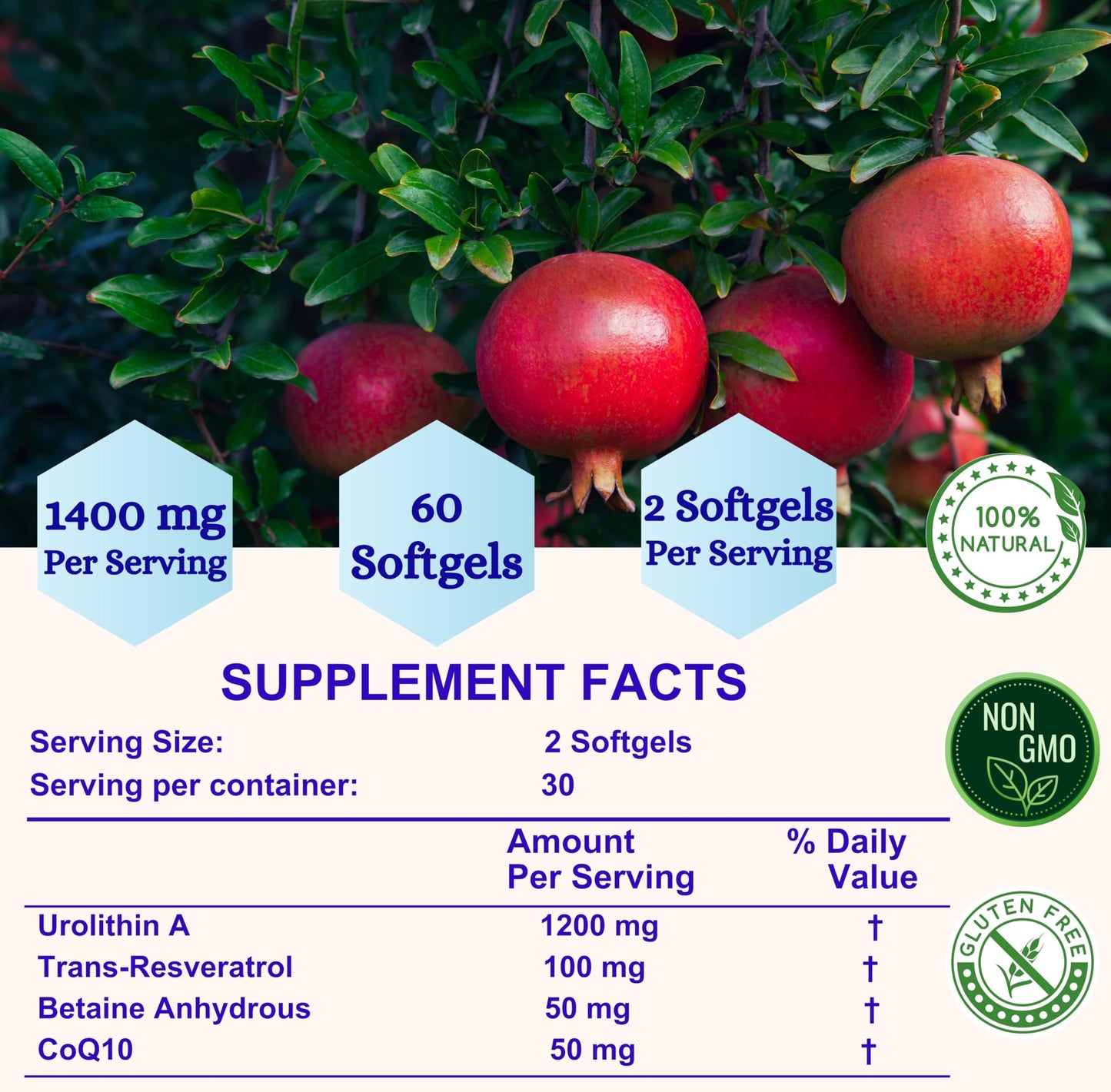 Nikoni Liposomal Urolithin-A Supplement 1400mg Softgels 240