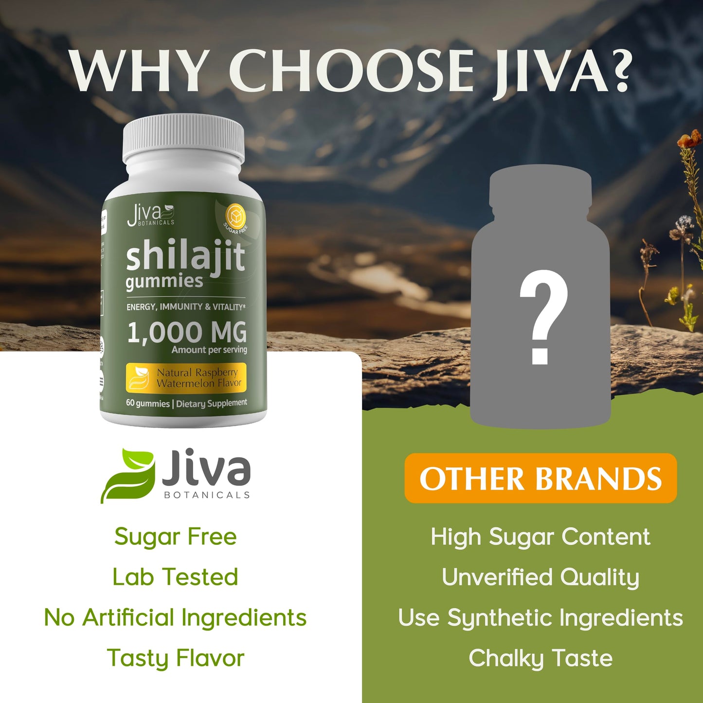 Jiva Botanicals Shilajit Gummies 1000mg, 60 Count